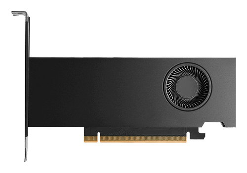 NVIDIA RTX PRO 2000 BLACKWEL - 16GB GDDR7 OEM VERSION