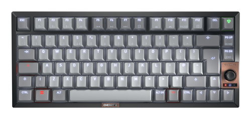 12033064 - KEYBOARD WIRELESS MX 2A SILENT R