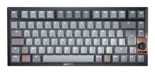 12033088 - KEYBOARD WIRELESS MX 2A SILENT R