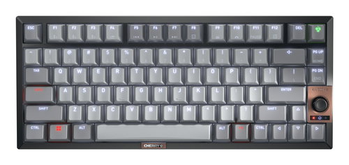 12033087 - KEYBOARD WIRELESS MX 2A SILENT R