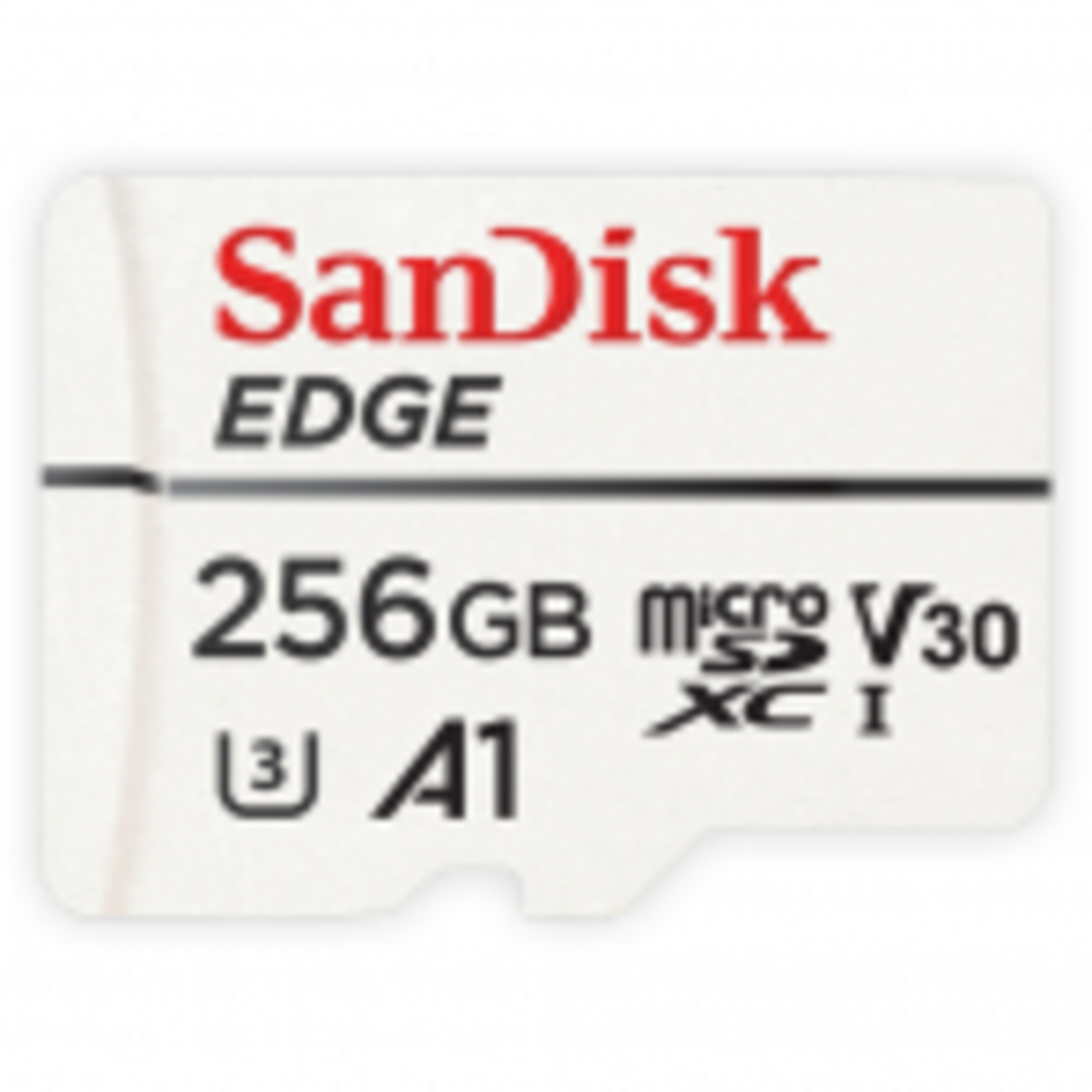 Axis Communications 02021-001 256 GB MicroSDXC UHS 100 MB-s 50 MB-s