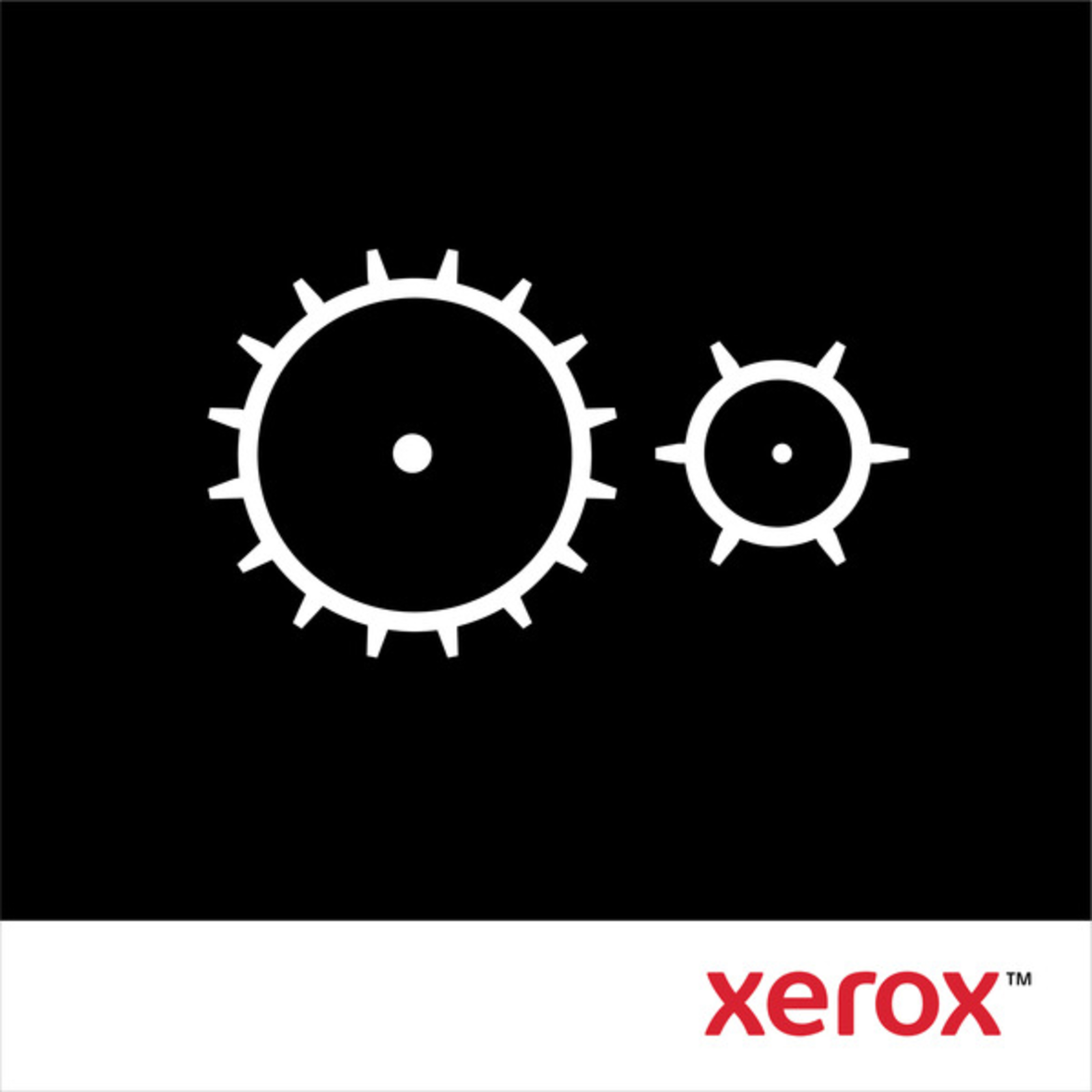 Xerox Media Cassette/Feed Roller Kit for VersaLink B600