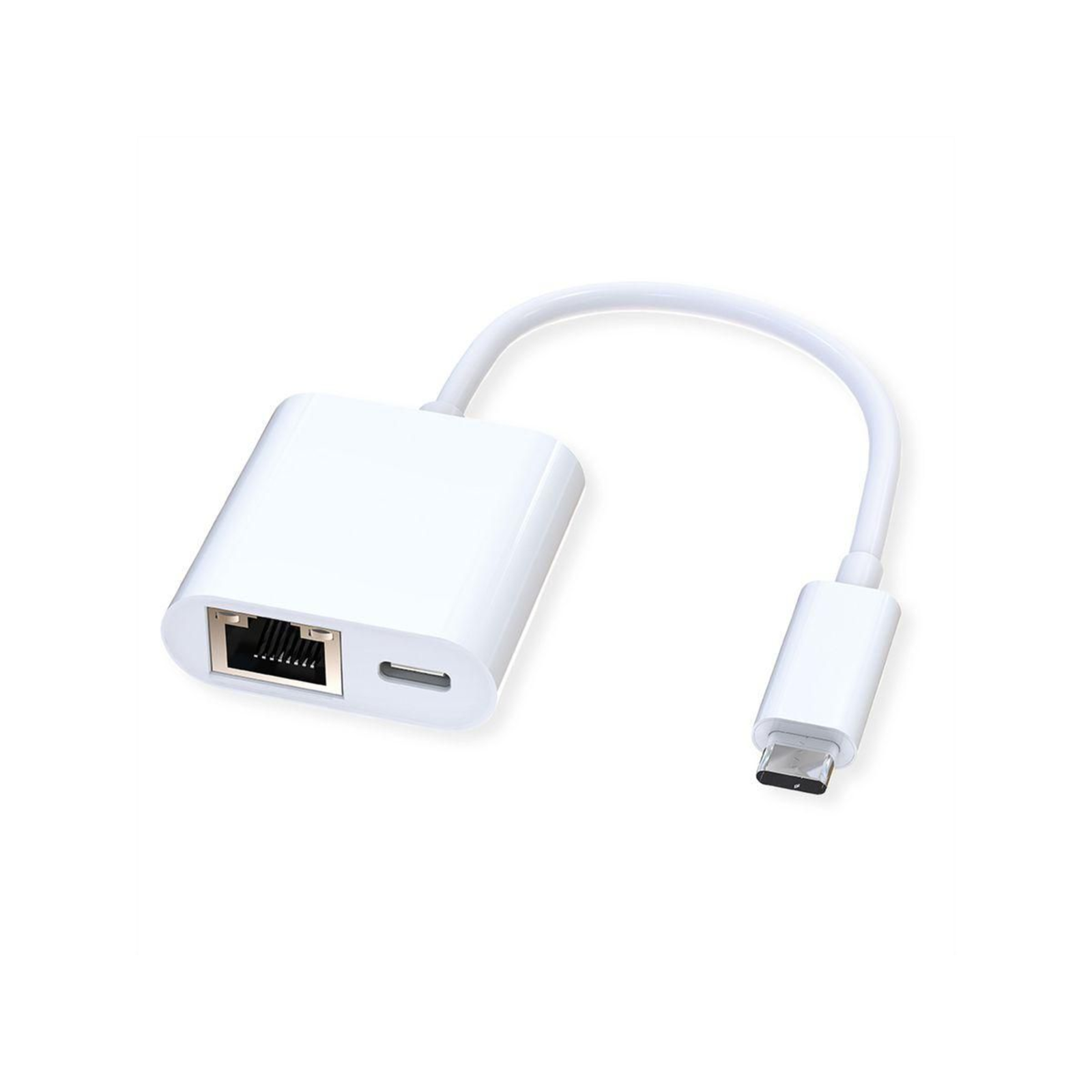 ROLINE USB 3.2 Gen 2 Type C to Gigabit Ethernet Converter + 1x PD Port 100W