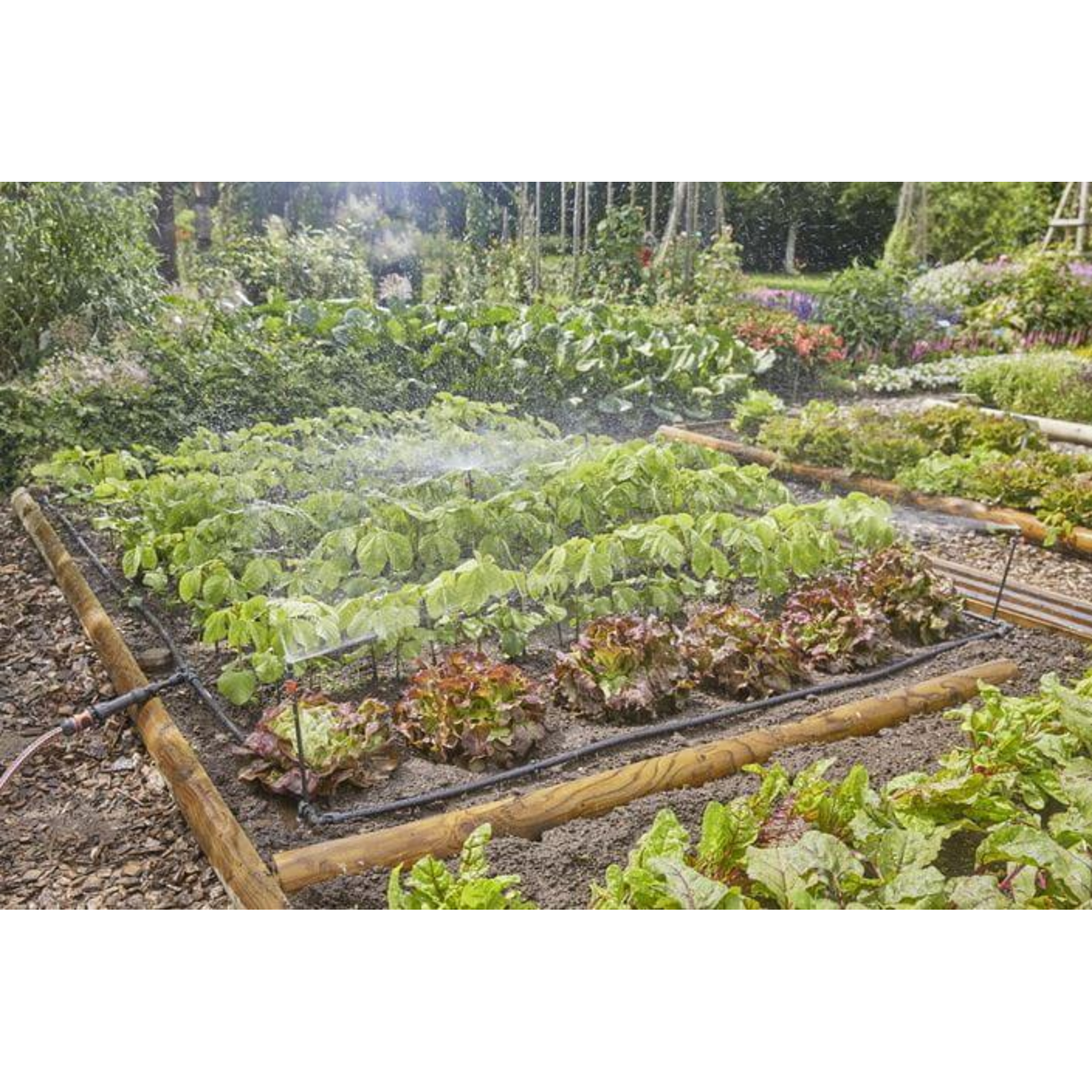 Gardena Micro-Drip-System Drip Irrigation Set Vegetable Flower Bed 60m2 Black Grey Model 2023
