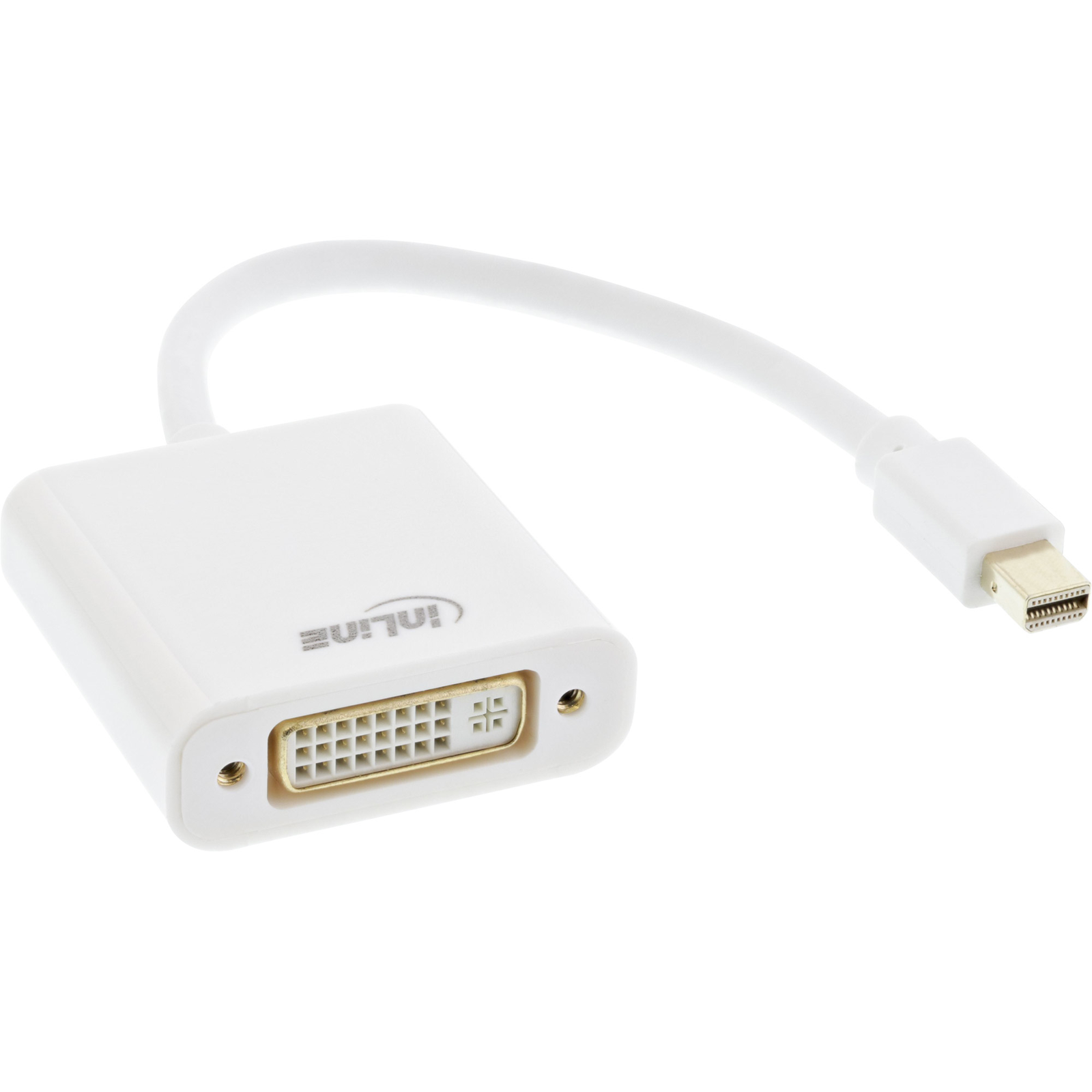 InLine Mini DisplayPort to DVI Adapter White 0.15m