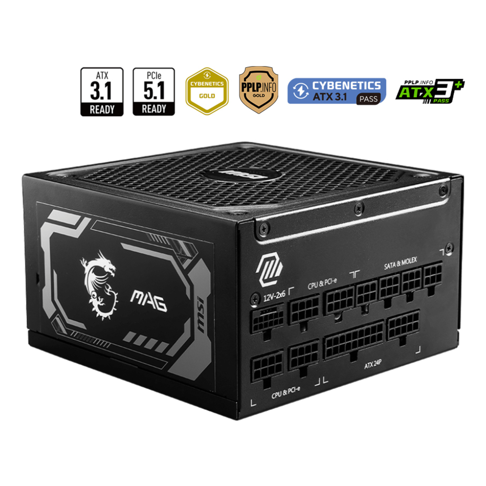 MSI PC Power Supply MAG A1250GL PCIE5 (306-7ZP9A11-CE0)