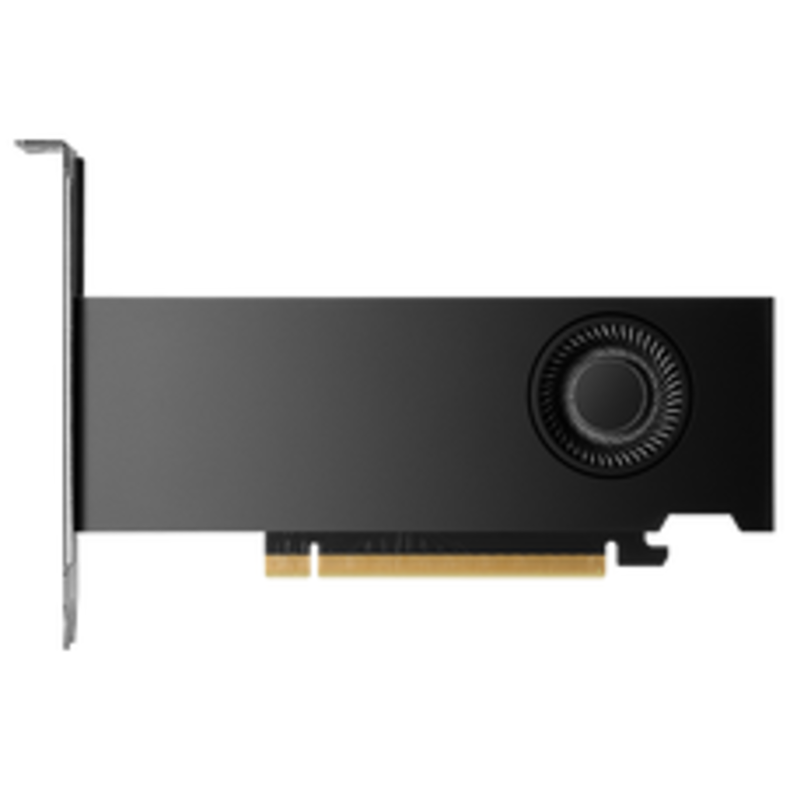 NVIDIA Quadro RTX 2000 ADA FH 16GB GDDR6 PCIe 4.0 X8 Retail Version 900-5G192-2541-000