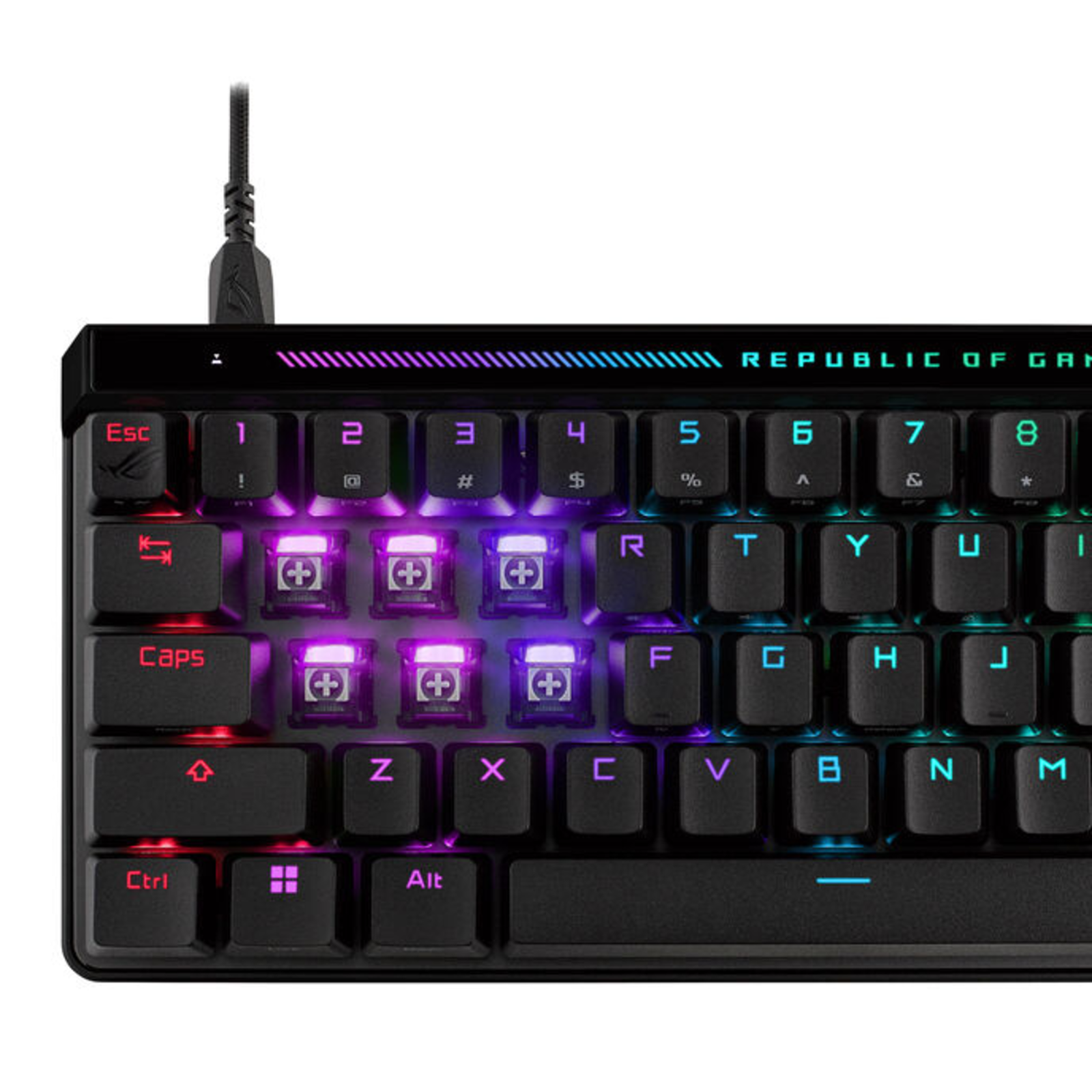 ASUS ROG Falchion ACE HFX DE DE Layout