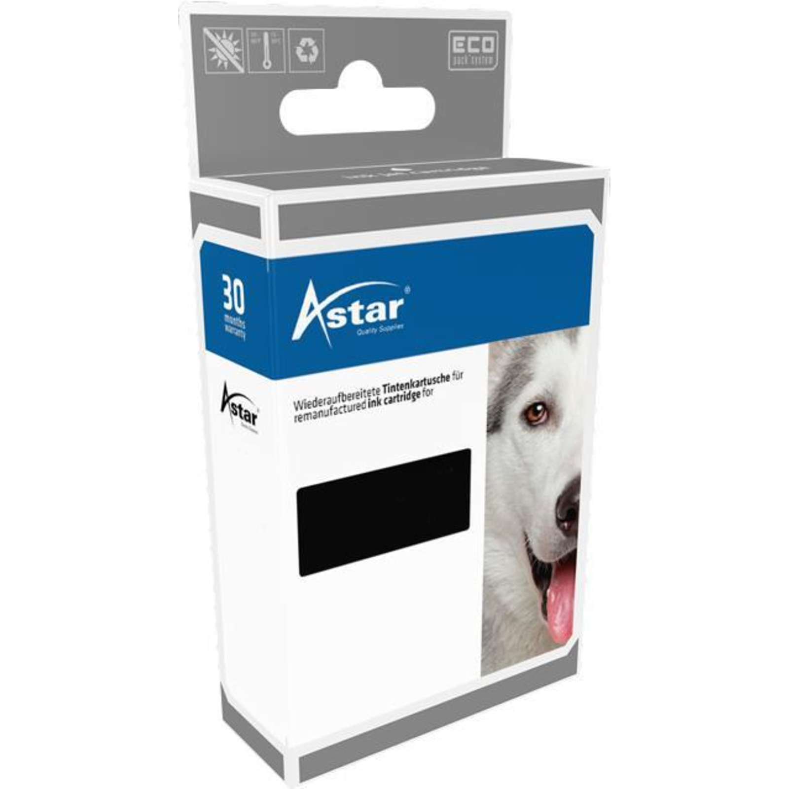 ASTAR 12 Ml Black Compatible Ink Cartridge (Alternative to HP 62XL)