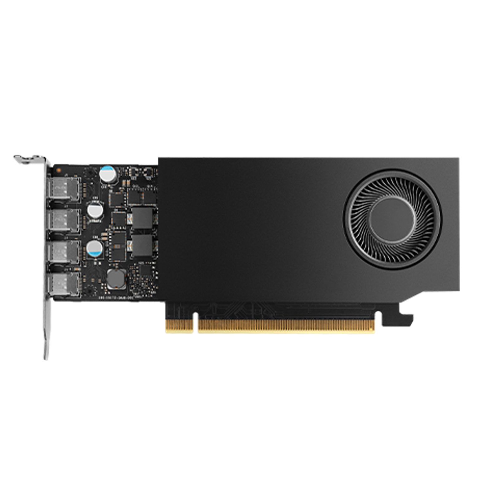 HP NVIDIA RTX A1000 Graphics Cards RTX A1000 8 GB