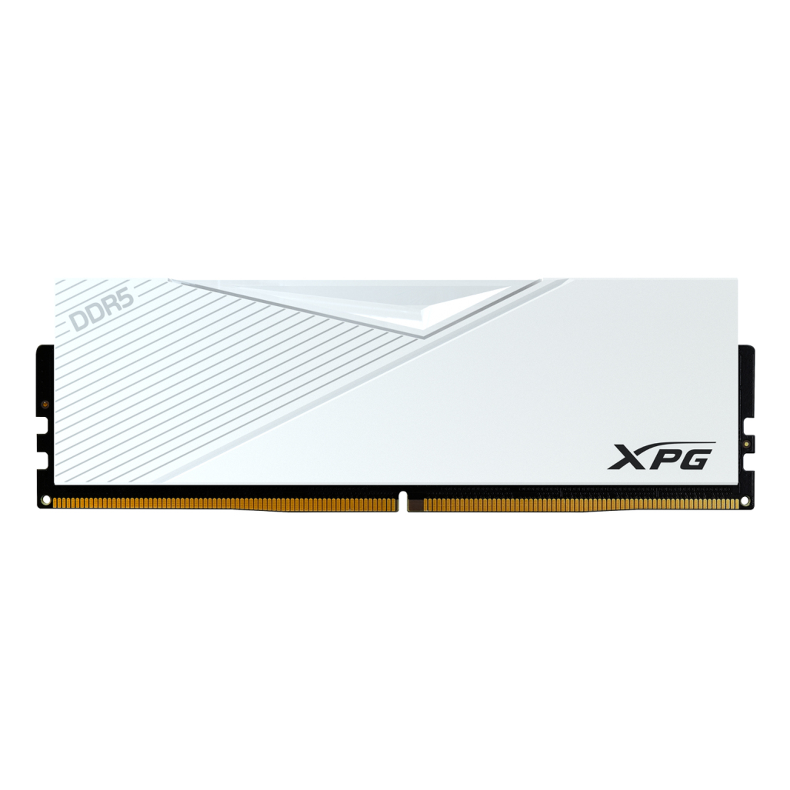 ADATA DIMM 16 GB DDR5-6000