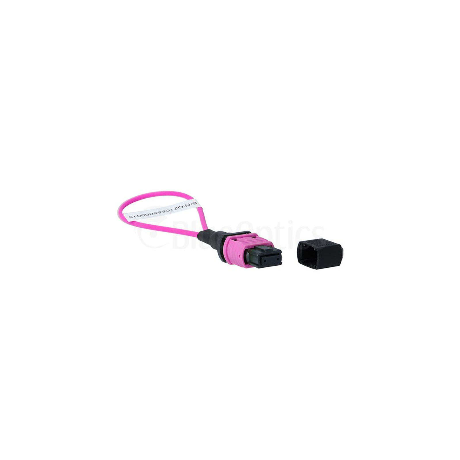 BlueOptics Loopback Adapter MPO/MTP Multimode OM4