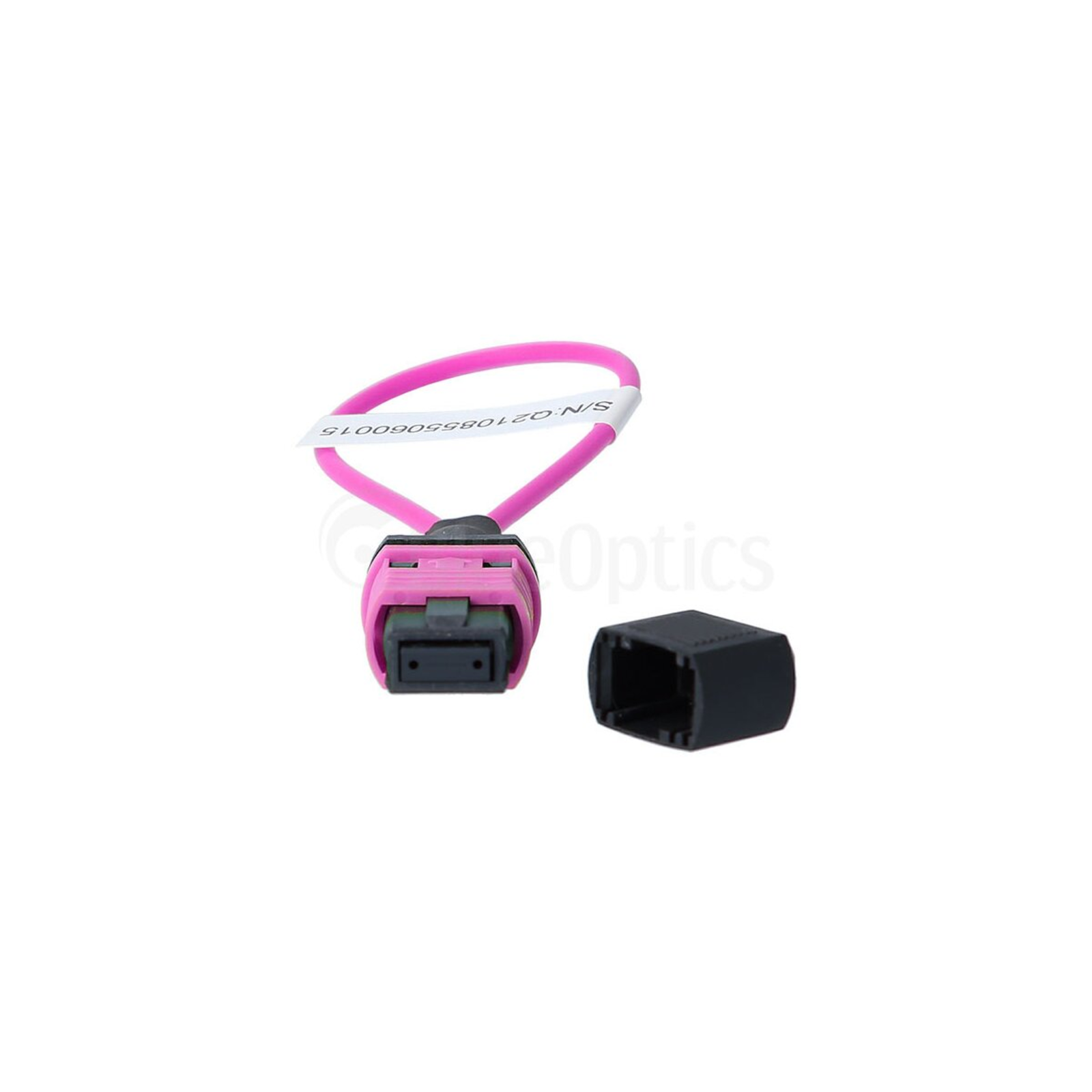 BlueOptics Loopback Adapter MPO/MTP Multimode OM4