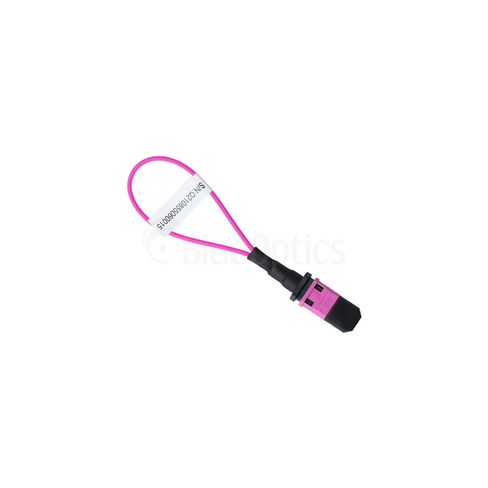 BlueOptics Loopback Adapter MPO/MTP Multimode OM4