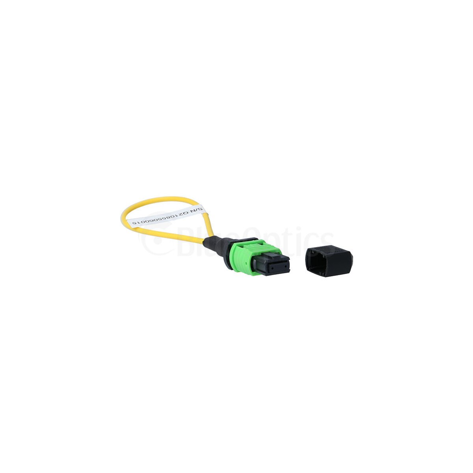 BlueOptics Loopback Adapter MPO/MTP Single-mode SM