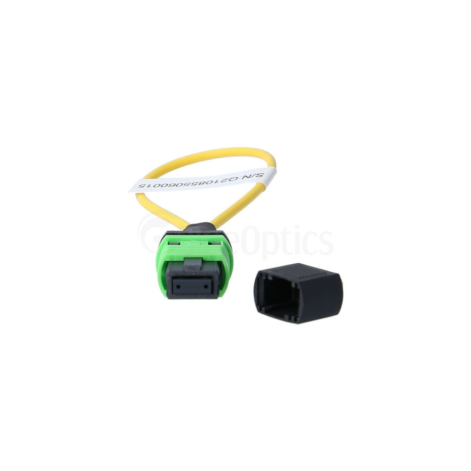 BlueOptics Loopback Adapter MPO/MTP Single-mode SM