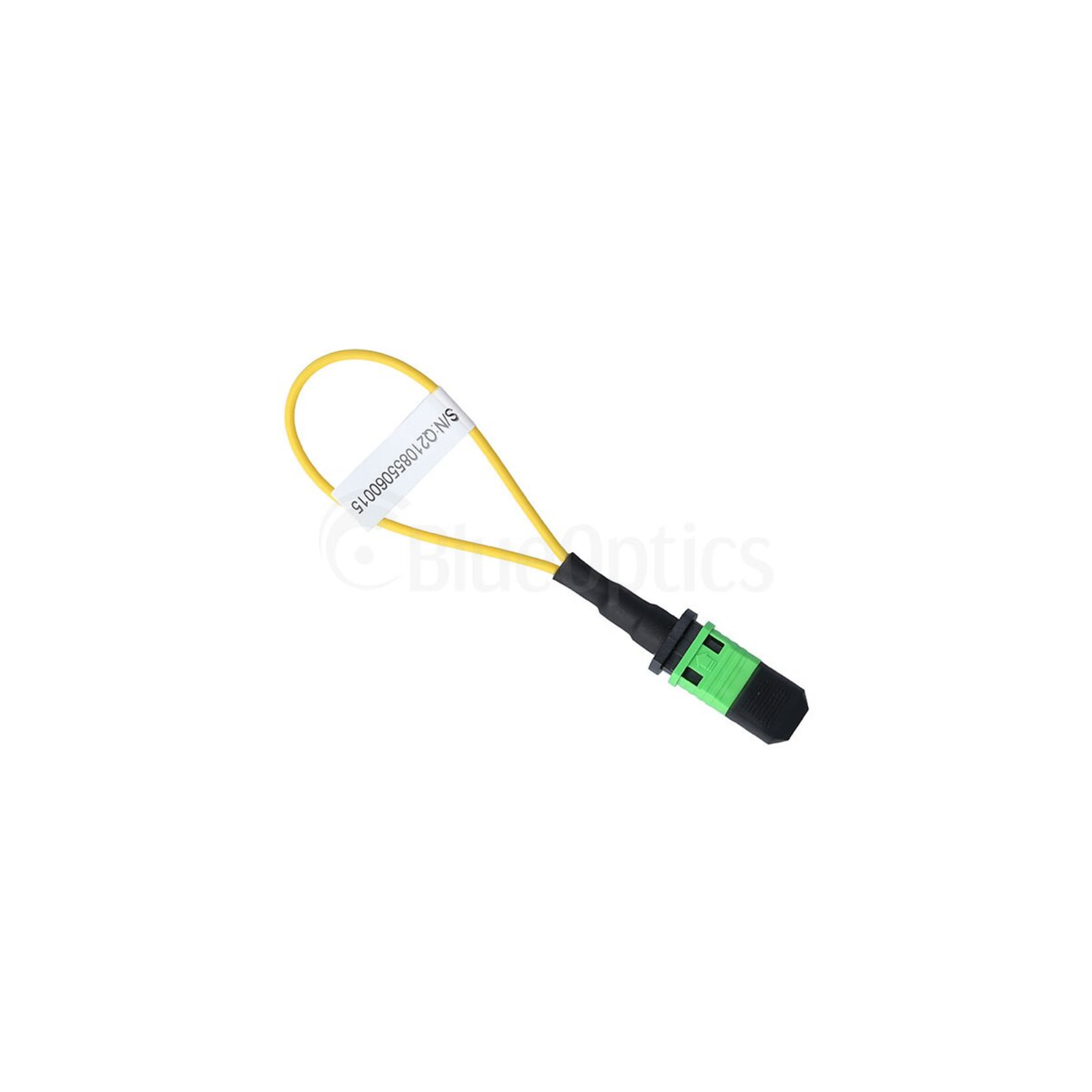 BlueOptics Loopback Adapter MPO/MTP Single-mode SM