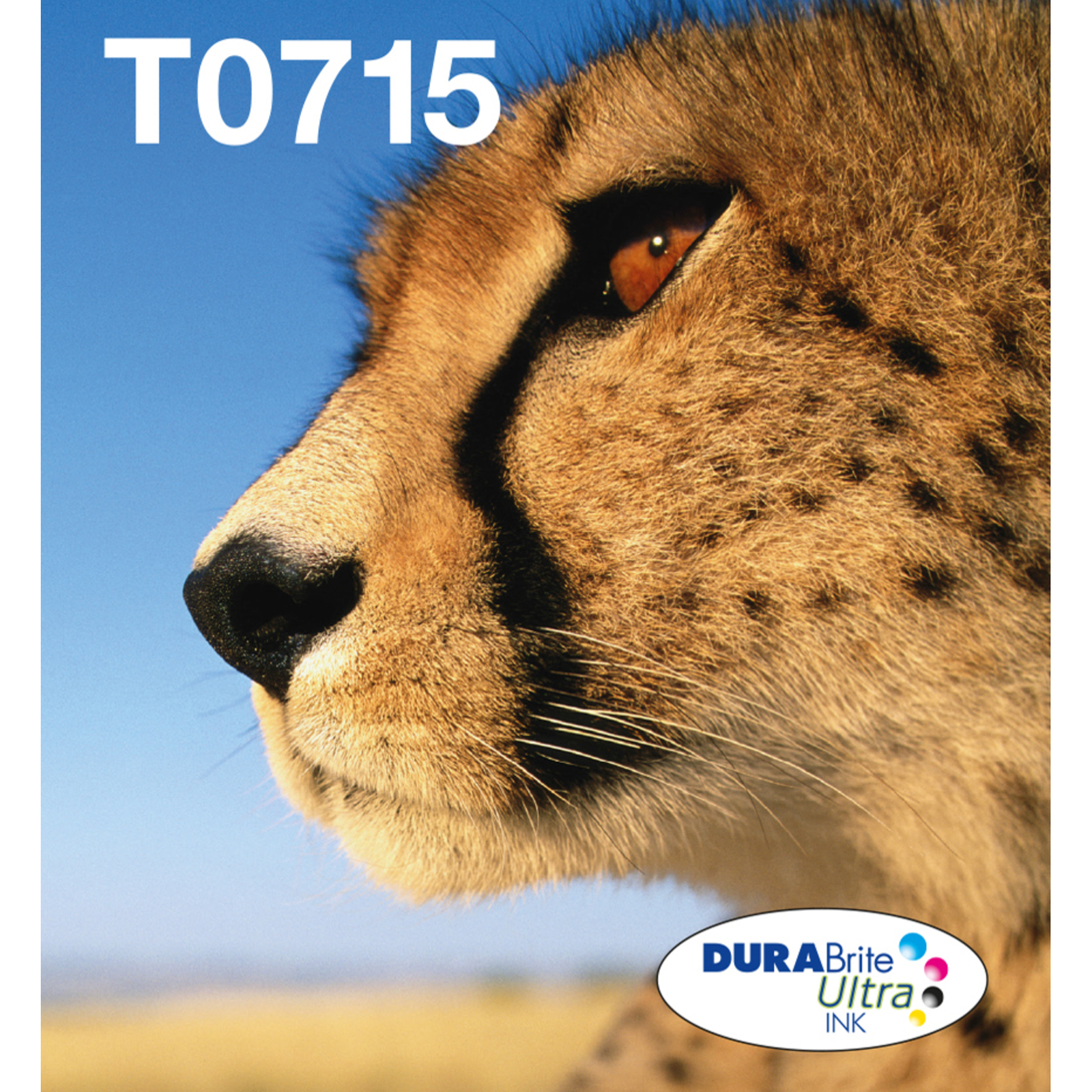 Epson Multipack 4-colours T071 EasyMail Standard Yield 7.4 Ml 5.5 Ml Multipack