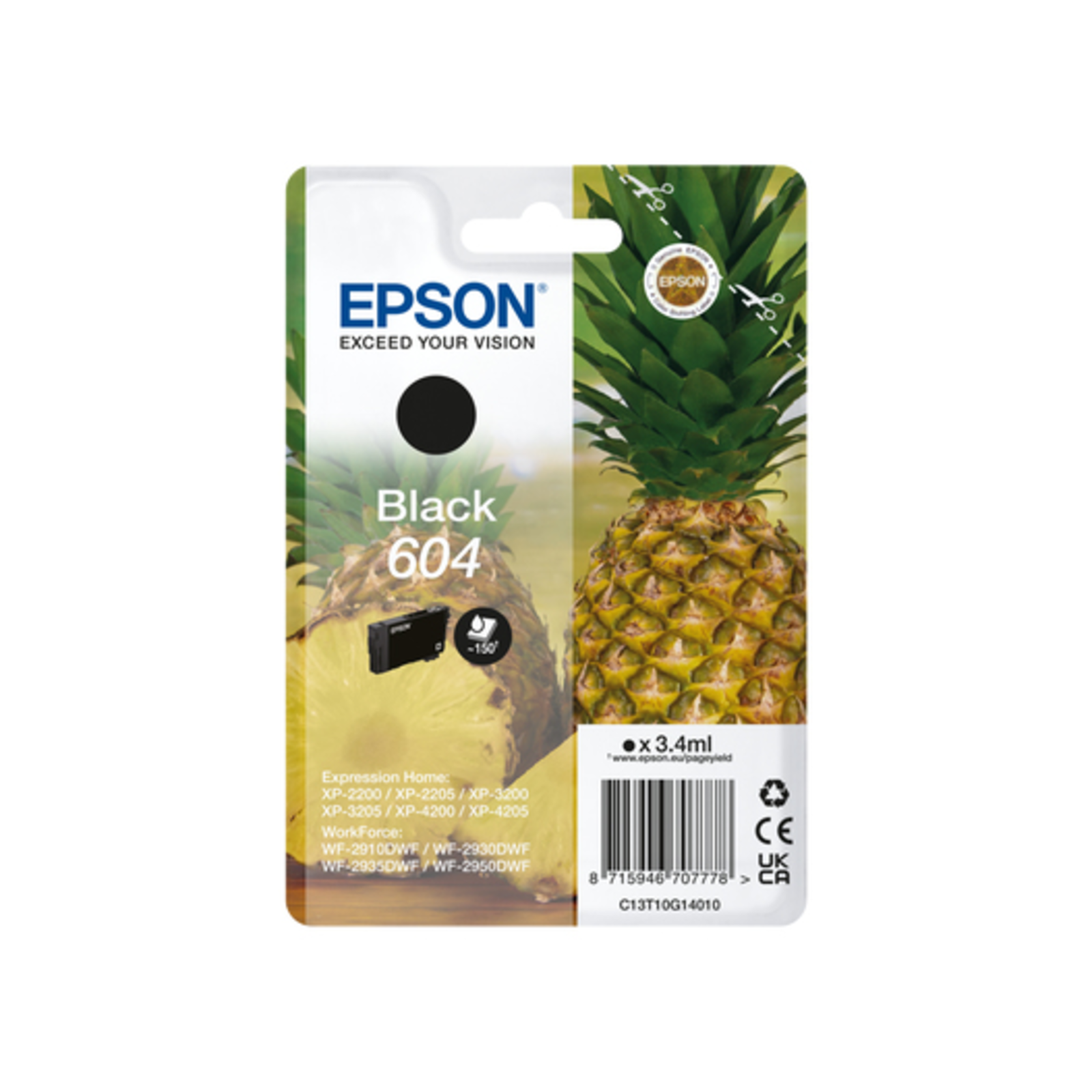 Epson 604 Singlepack Black Ink C13T10G14010