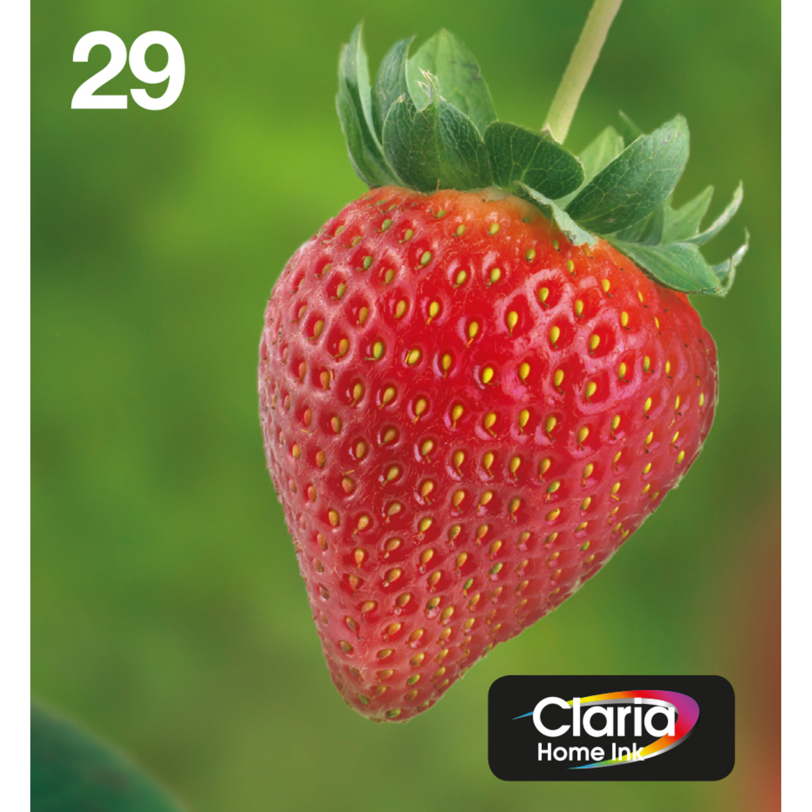 Epson Strawberry Multipack 4-colours 29 EasyMail Standard Yield 5.3 Ml 3.2 Ml