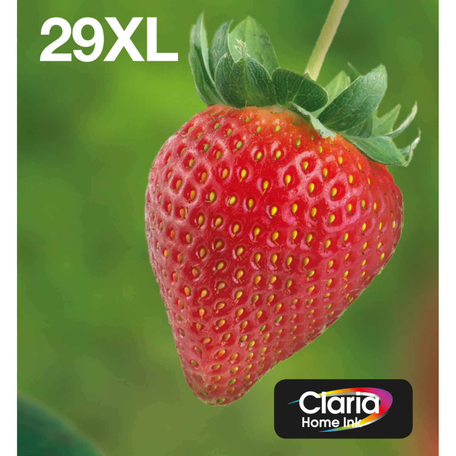 Epson Strawberry Multipack 4-colours 29XL EasyMail High XL Yield 11.3 Ml 6.4 Ml