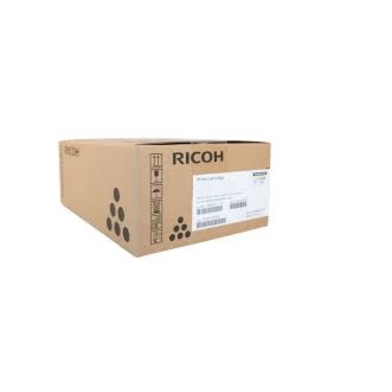Ricoh Waste Toner Container D2896410