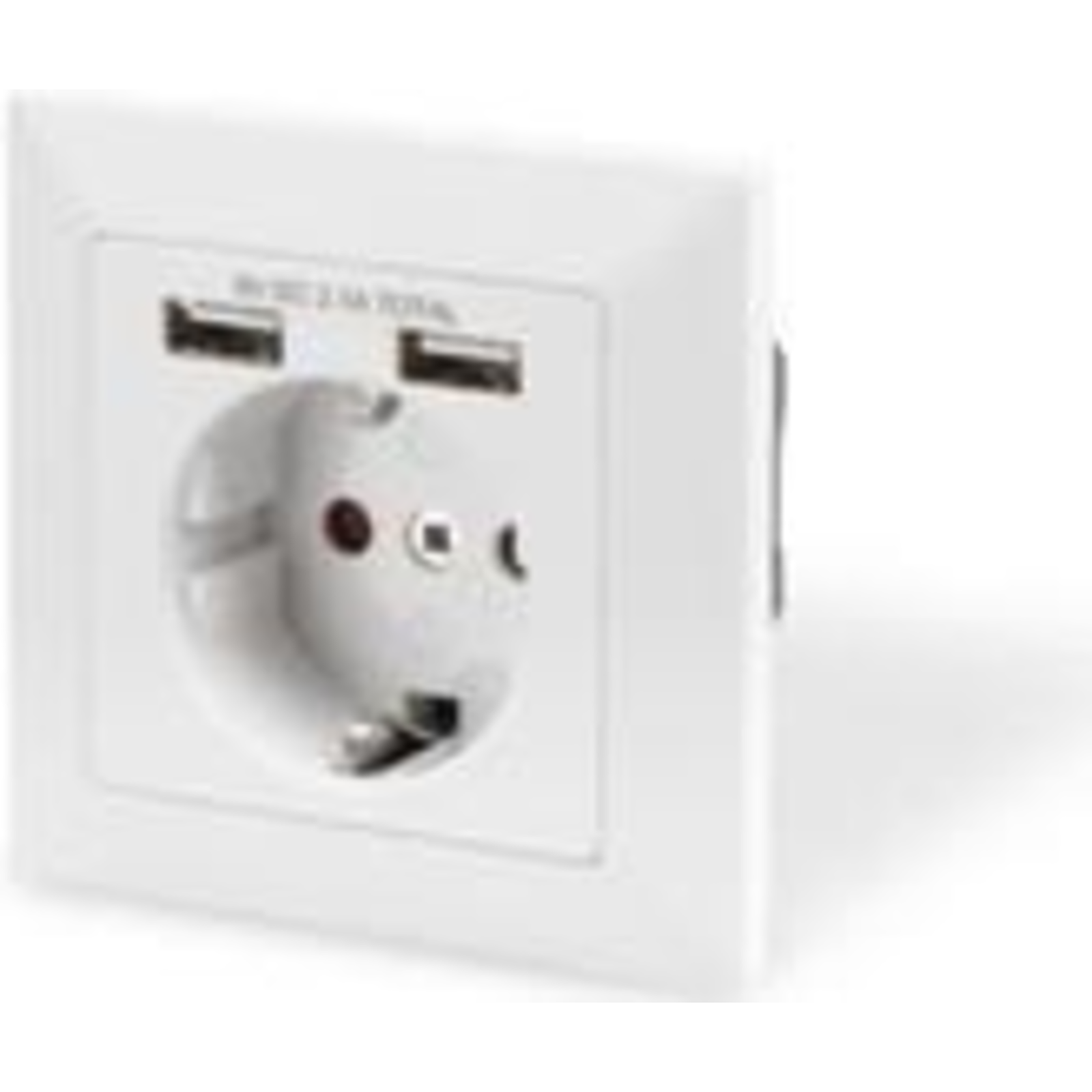 DIGITUS Security Socket for Flush Mounting with 2 USB Ports (DA-70613)
