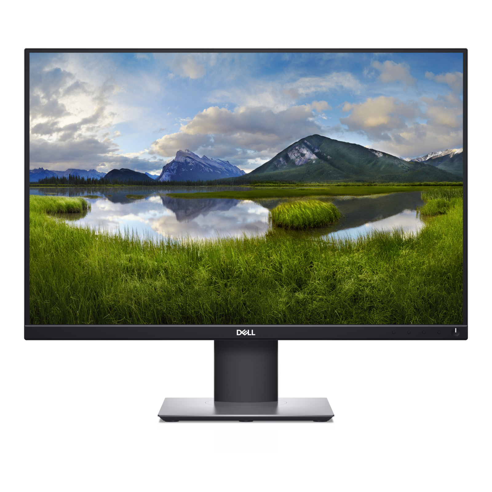 Dell LED Monitor P2421 WUXGA IPS 24 Inch