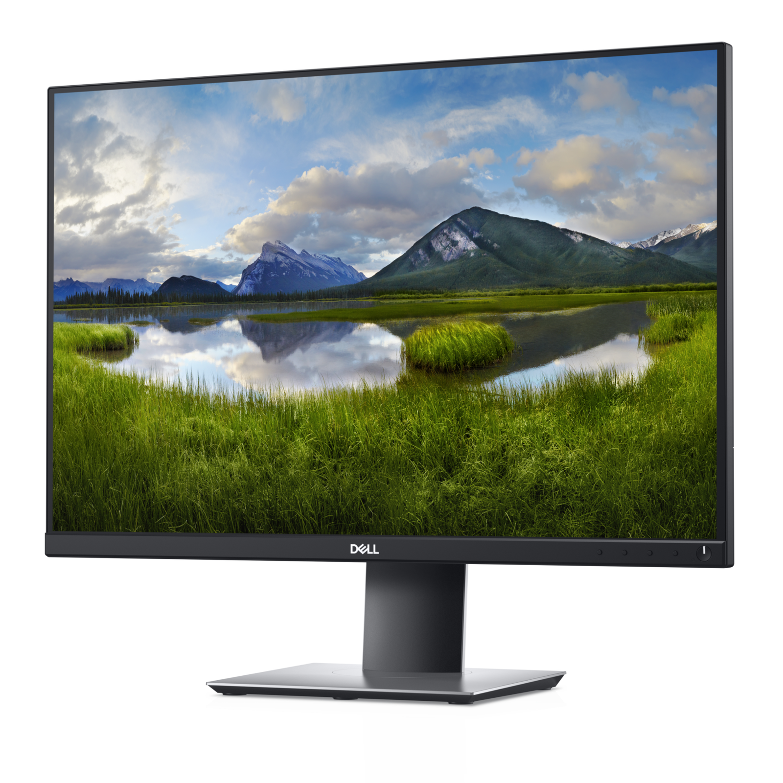 Dell LED Monitor P2421 WUXGA IPS 24 Inch