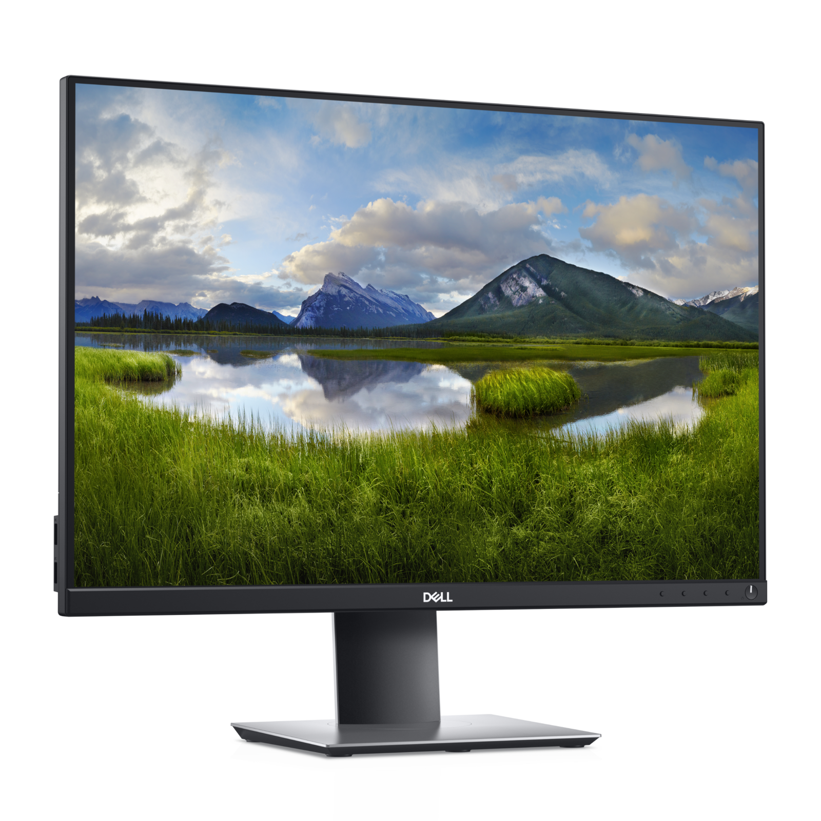 Dell LED Monitor P2421 WUXGA IPS 24 Inch