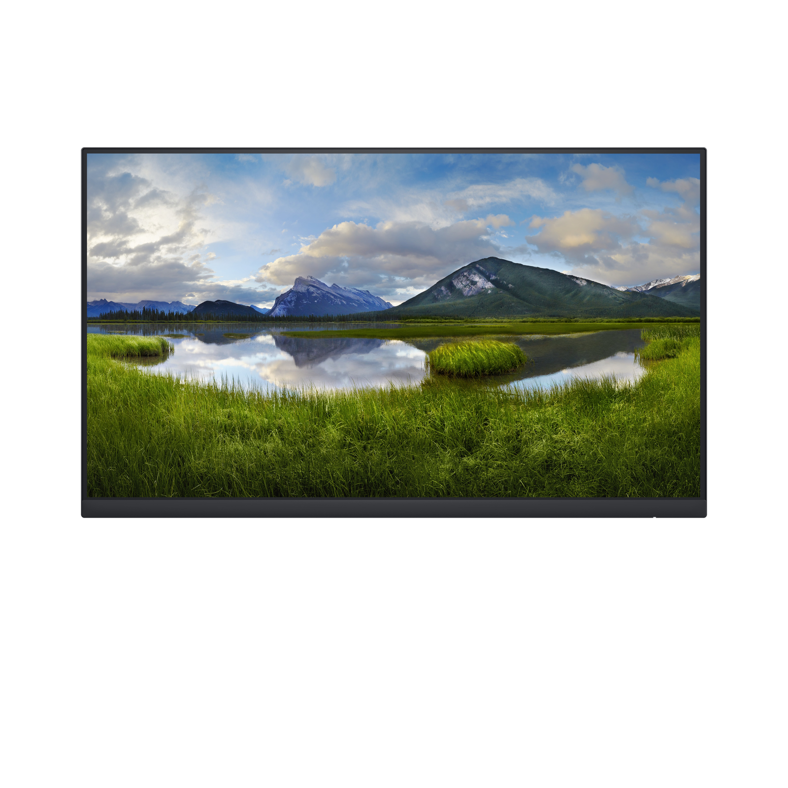 Dell P2422H 24 1920 X 1080 Full HD VGA HD-15 HDMI Display Port 60Hz