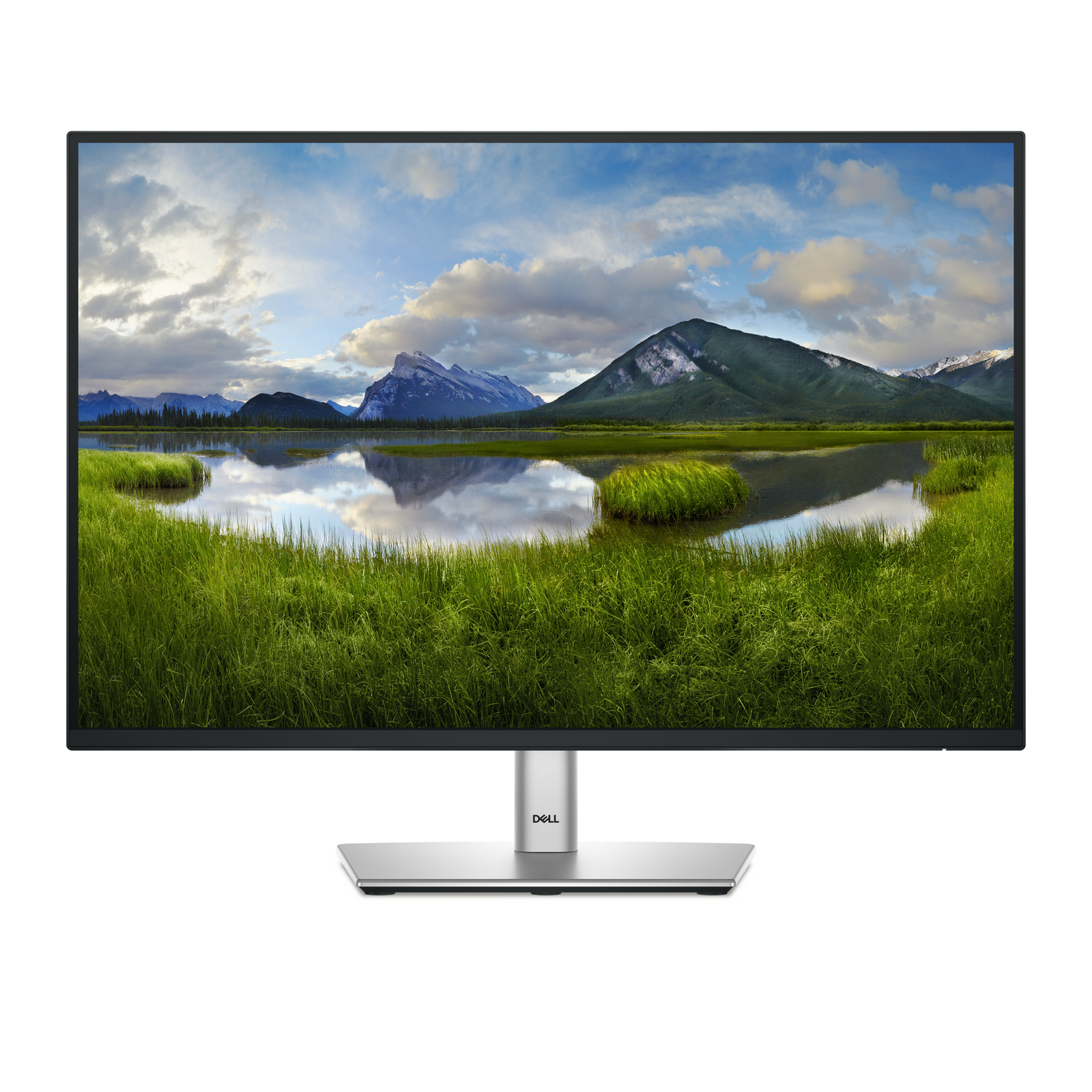 Dell Monitor 24 P2425 61.13cm 24 Inch 1920 X 1200 WUXGA 100 Hz IPS