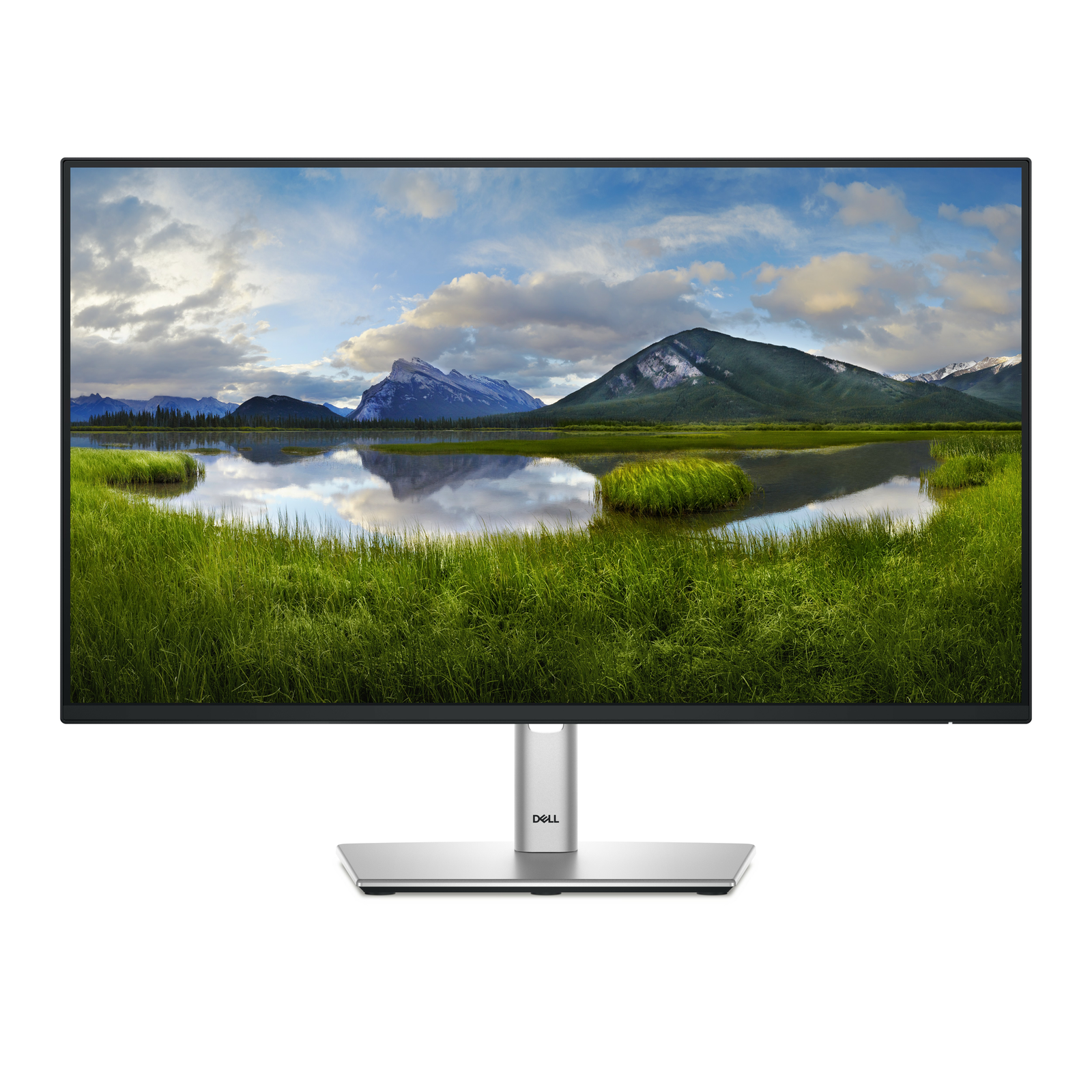 Dell P2425H 24 1920 X 1080 (Full HD) VGA (HD-15) HDMI DisplayPort 100Hz Pivot Monitor