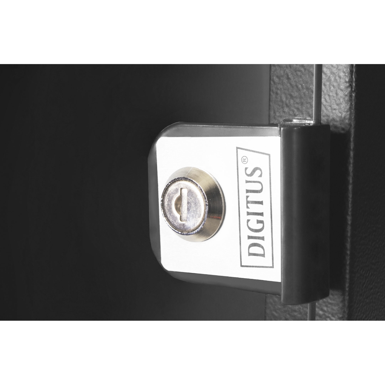 Digitus SOHO PRO Wall Housing 254mm 10 Inch 315x300mm WxD