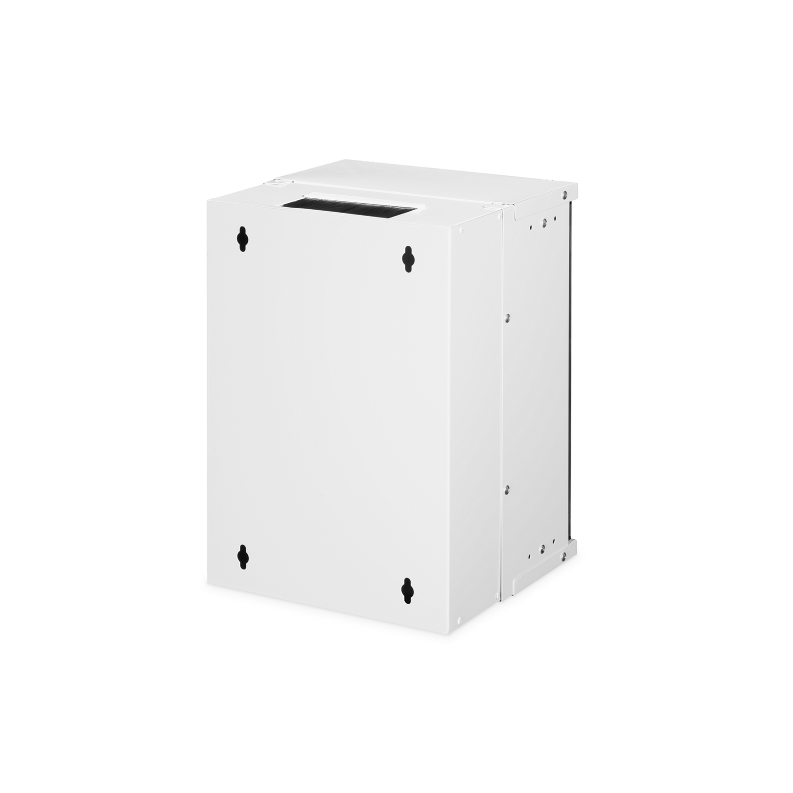 Digitus SOHO PRO Wall Housing 254mm 10 Inch 315x300mm WxD