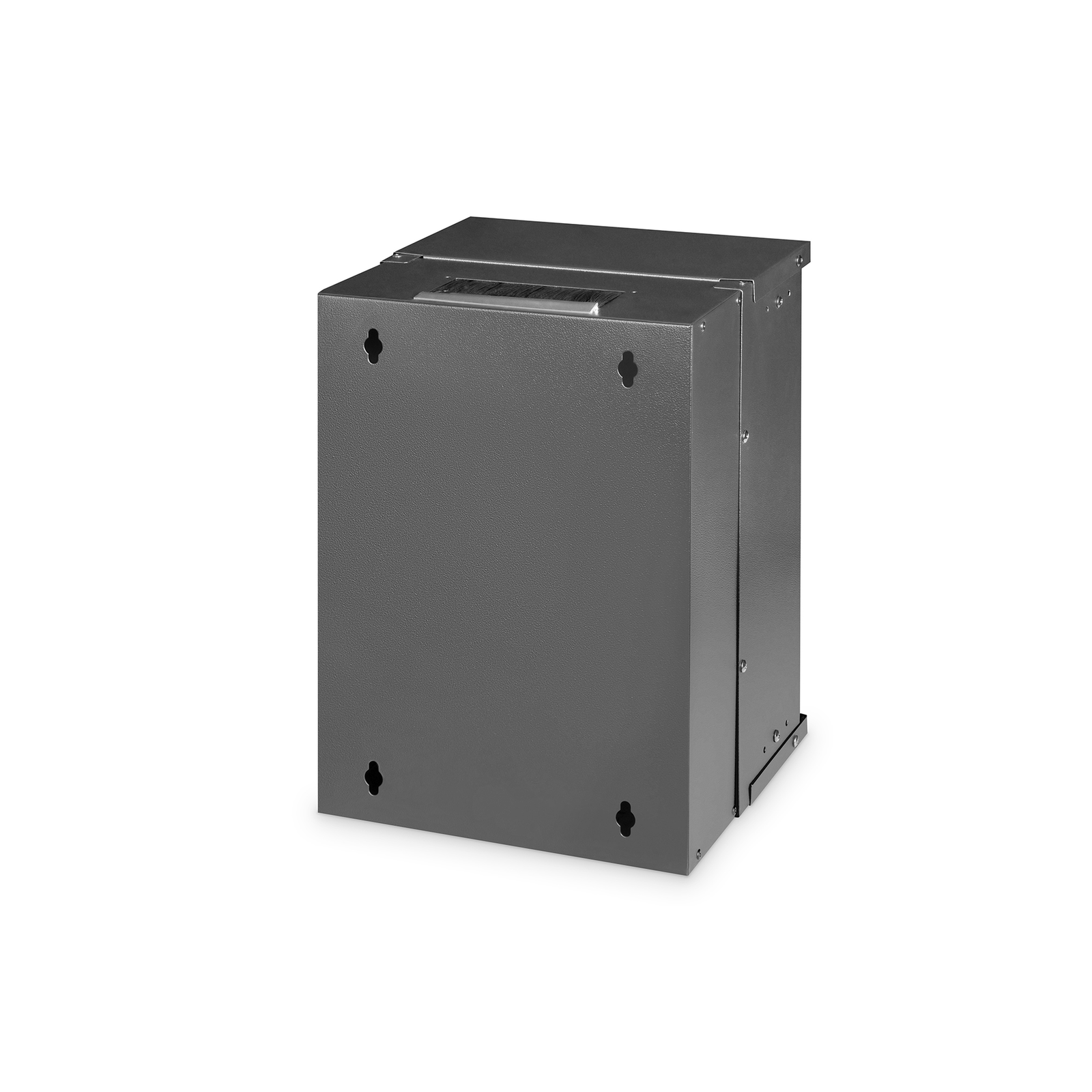 Digitus SOHO PRO Wall Housing 254mm 10 Inch 315x300mm WxD