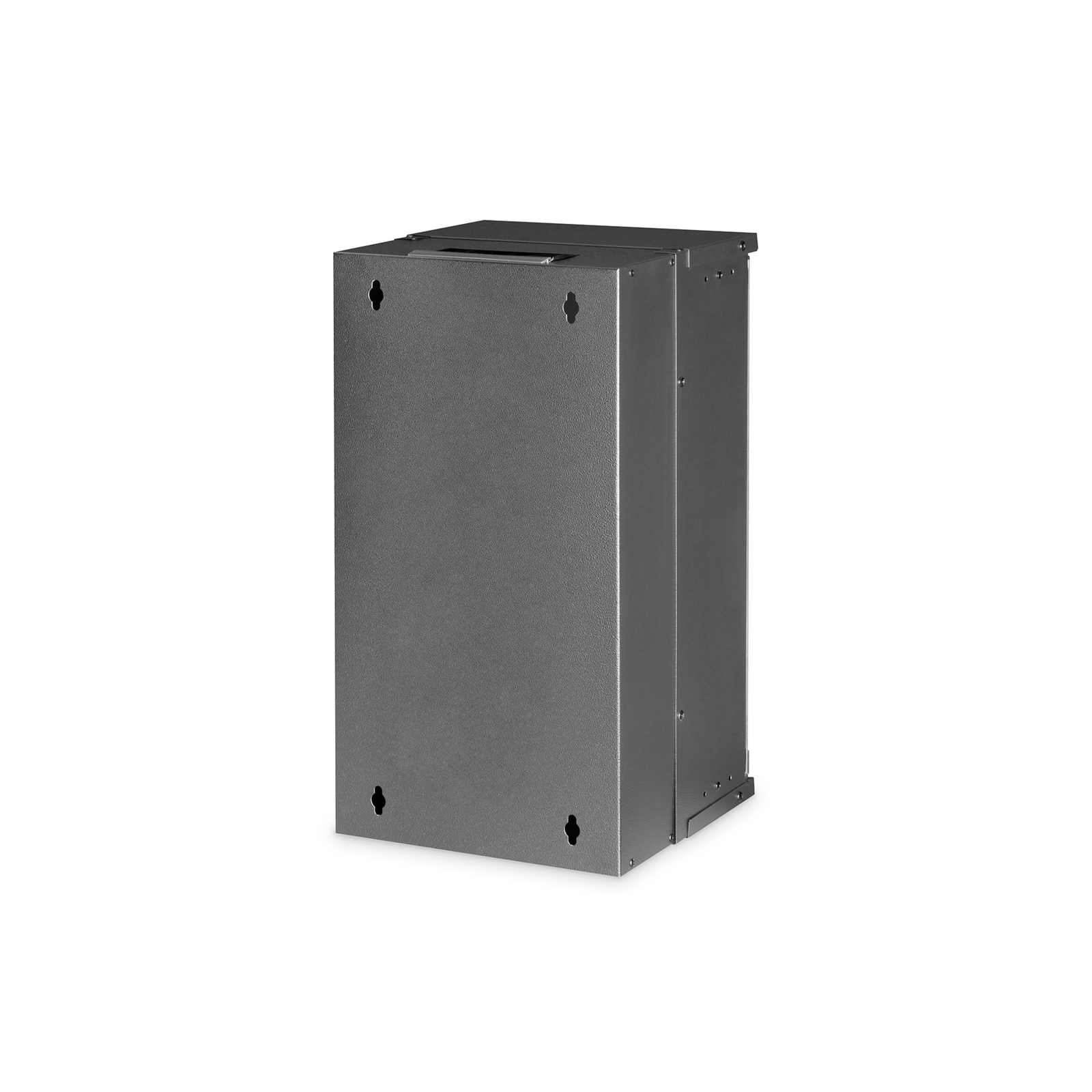 Digitus SOHO PRO Wall Housing 254mm 10 Inch 315x300mm WxD
