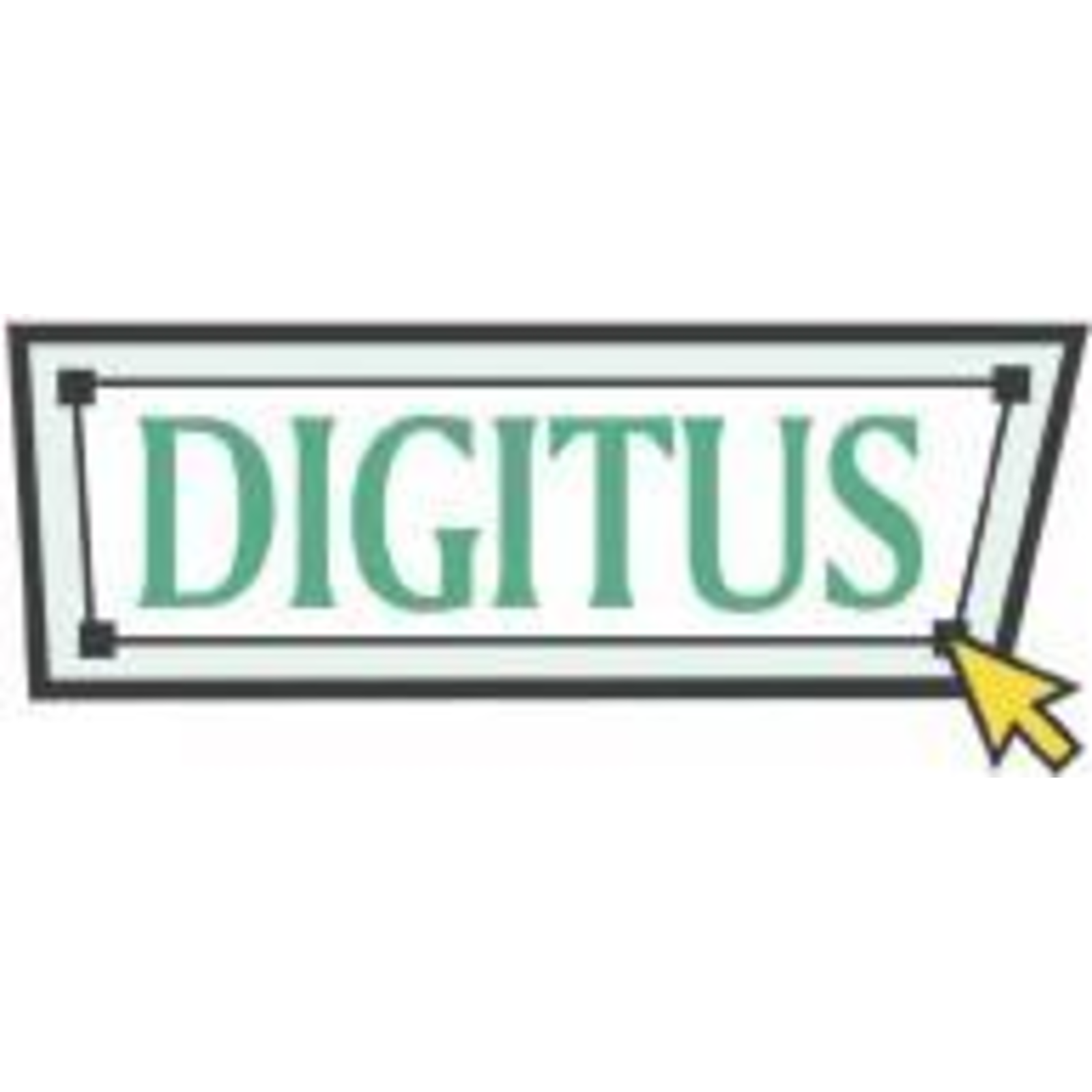 Digitus 100Gbs QSFP28 CWDM4 Optical Transceiver Module