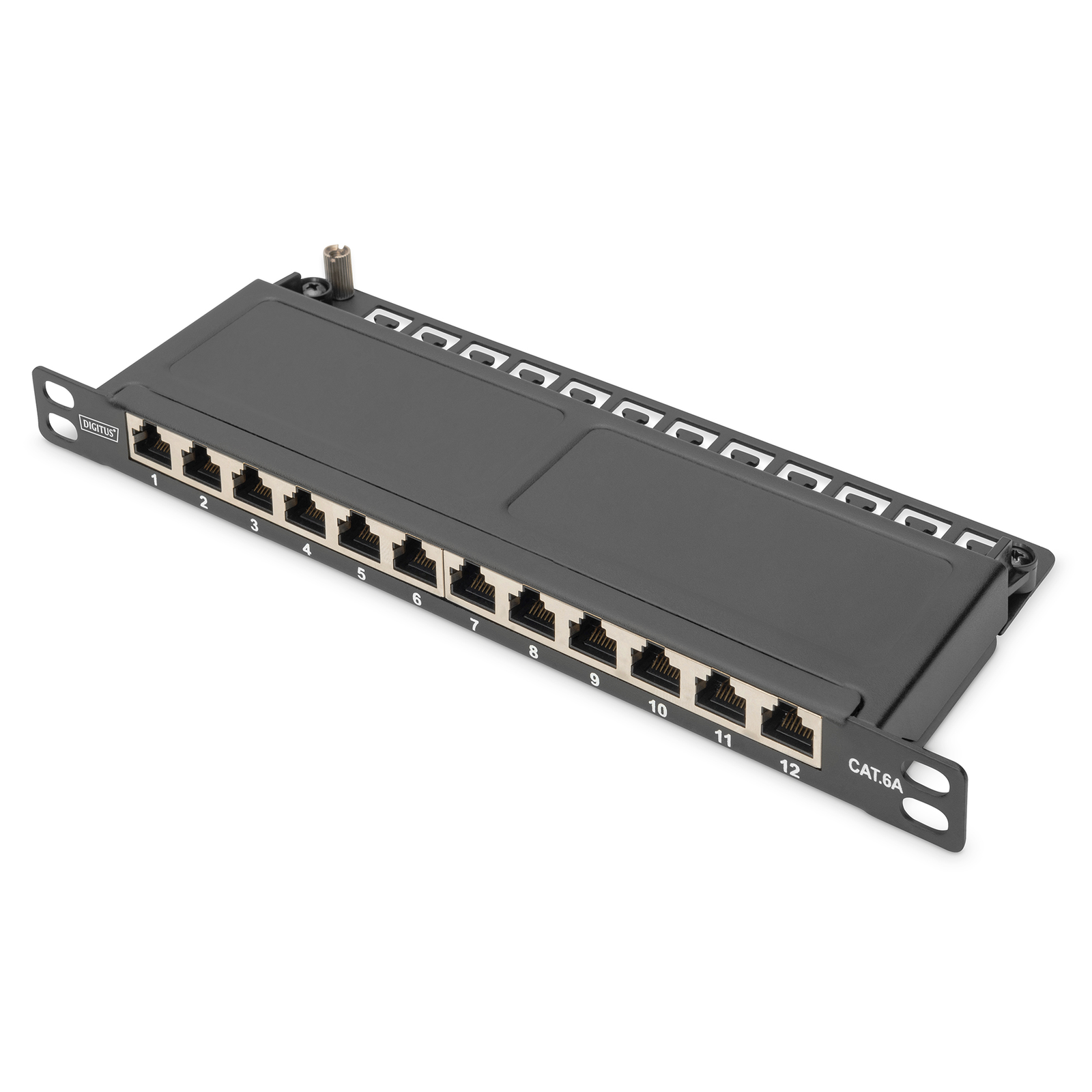 Digitus Patch Panel Wall Mountable Stand Mountable RJ-45 X 12 Black RAL 9005 0.5 U 10inch