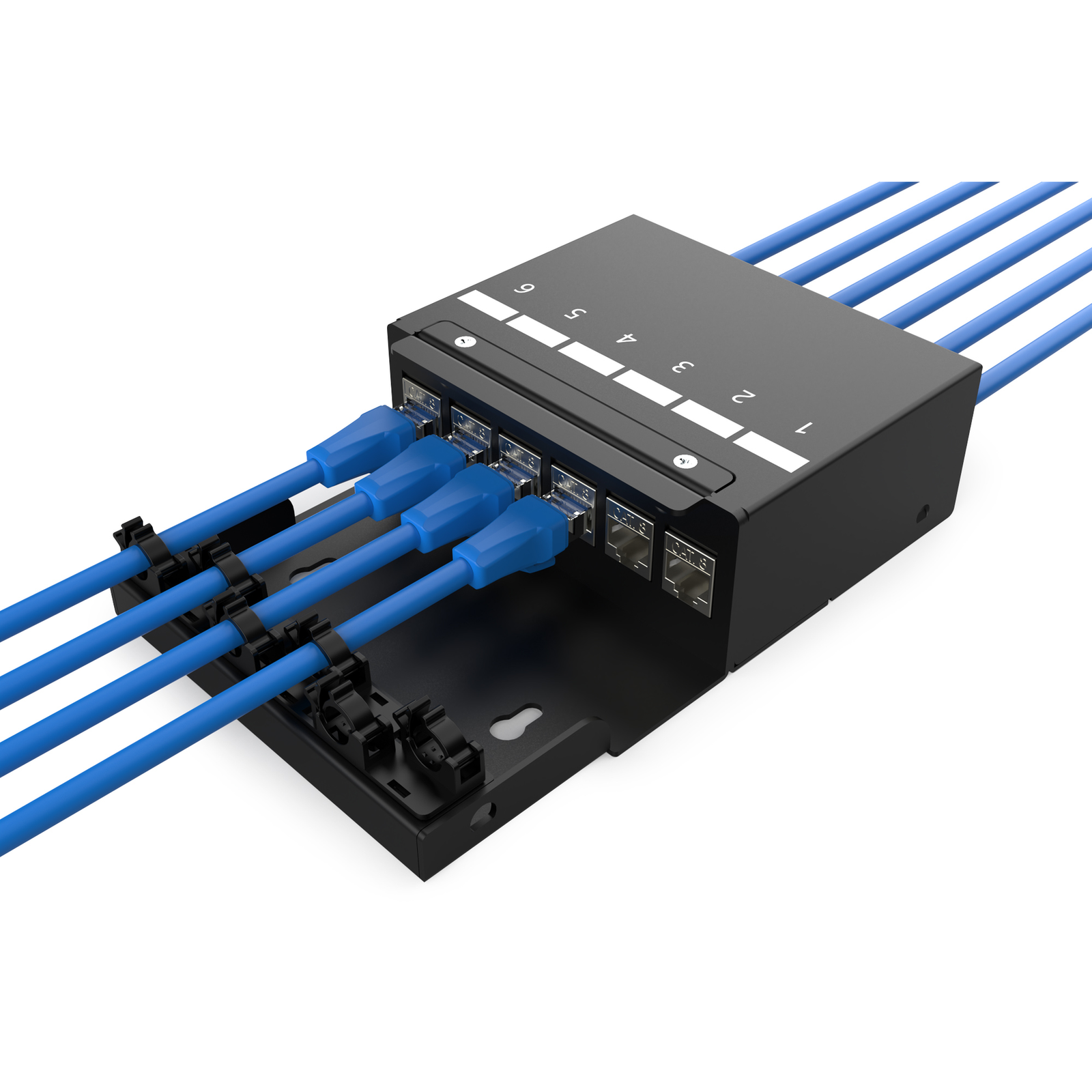 DIGITUS Consolidation Point Box 6 Ports Keystone Modules with Intelligent Cable Manager