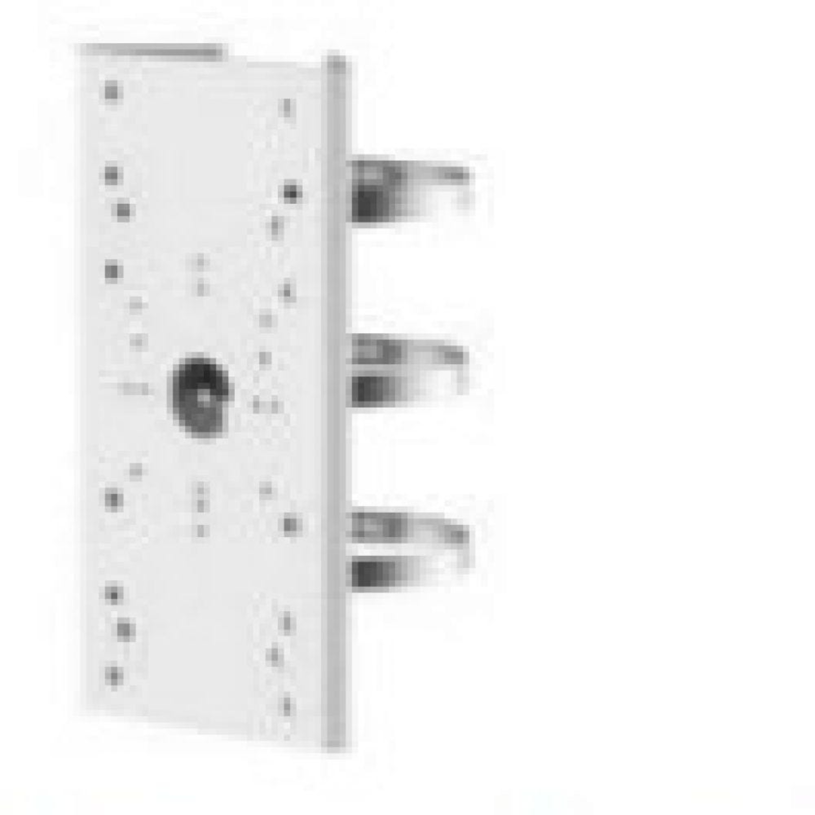 Hikvision DS-1275ZJ-SUS Mounting White HikDigital Technology Stainless Steel