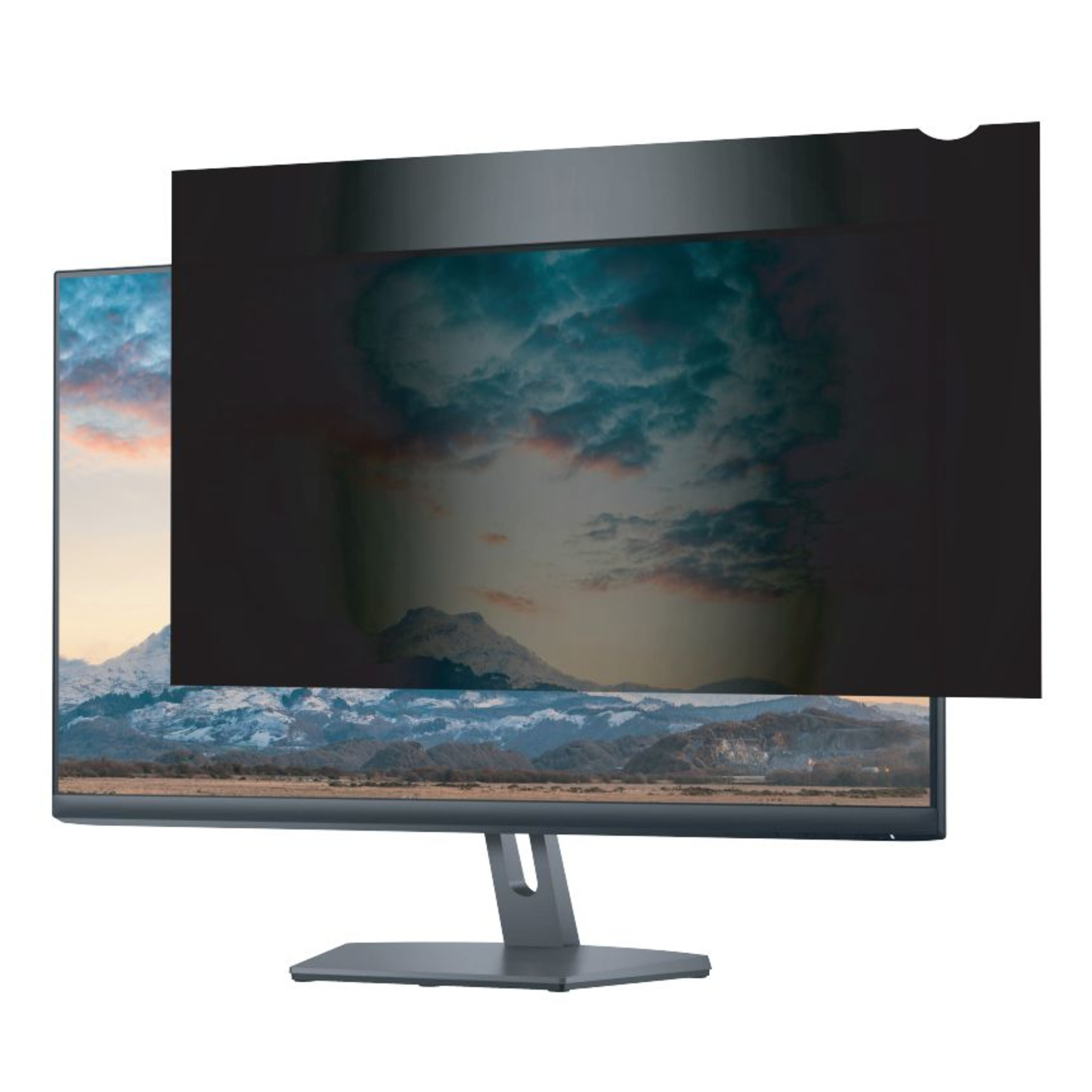 eStuff Privacy Filter 55.0inch 169