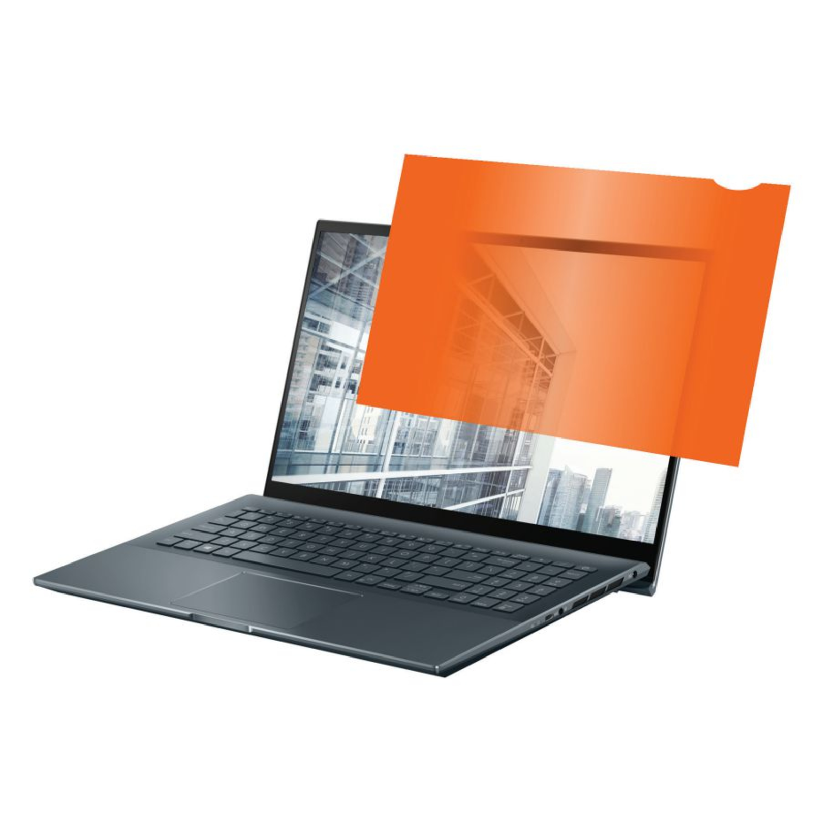 eStuff gold Privacy Filter 15.6inch (169) 345mm X 194mm