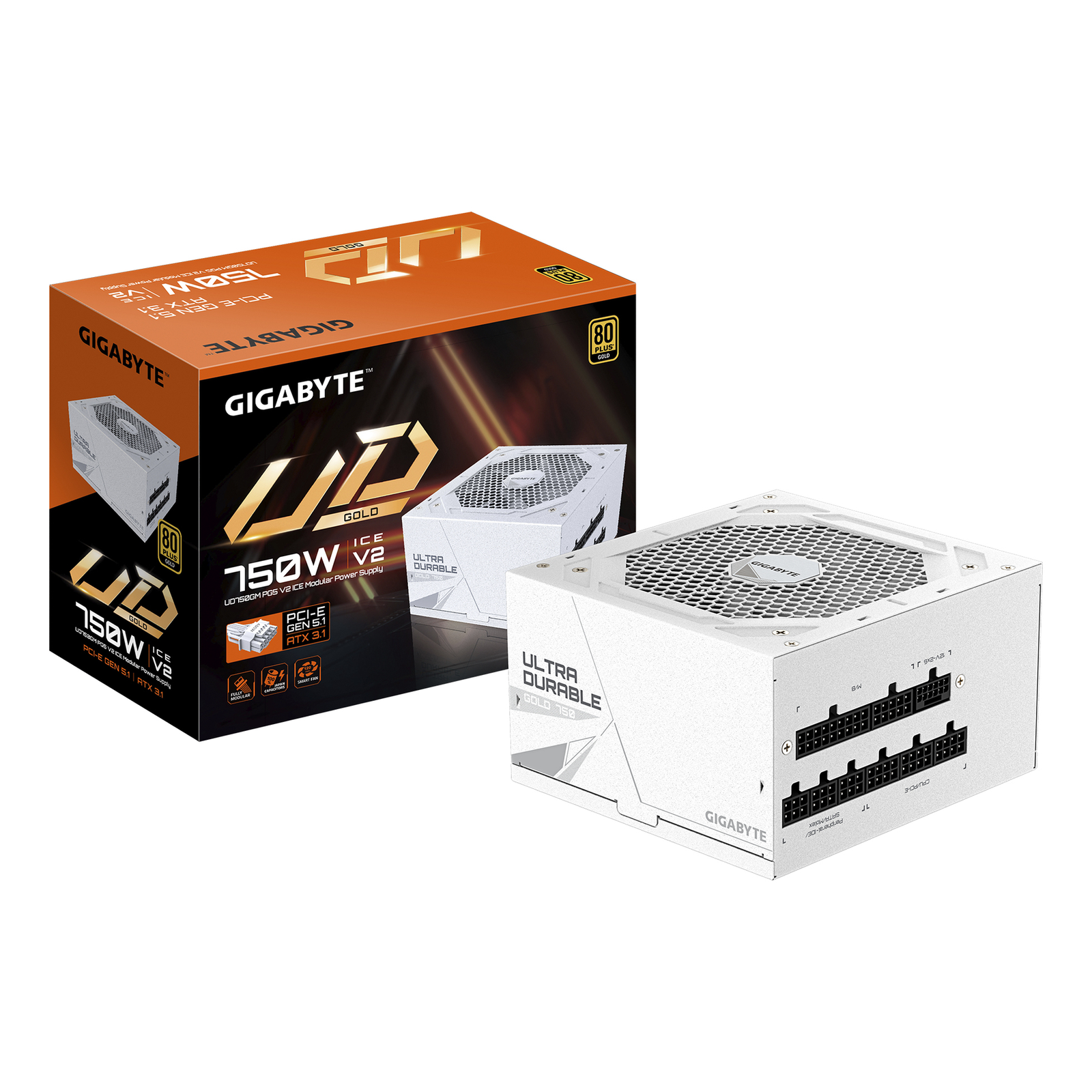 Gigabyte UD750GM PG5 V2 ICE Power Supply (internal)