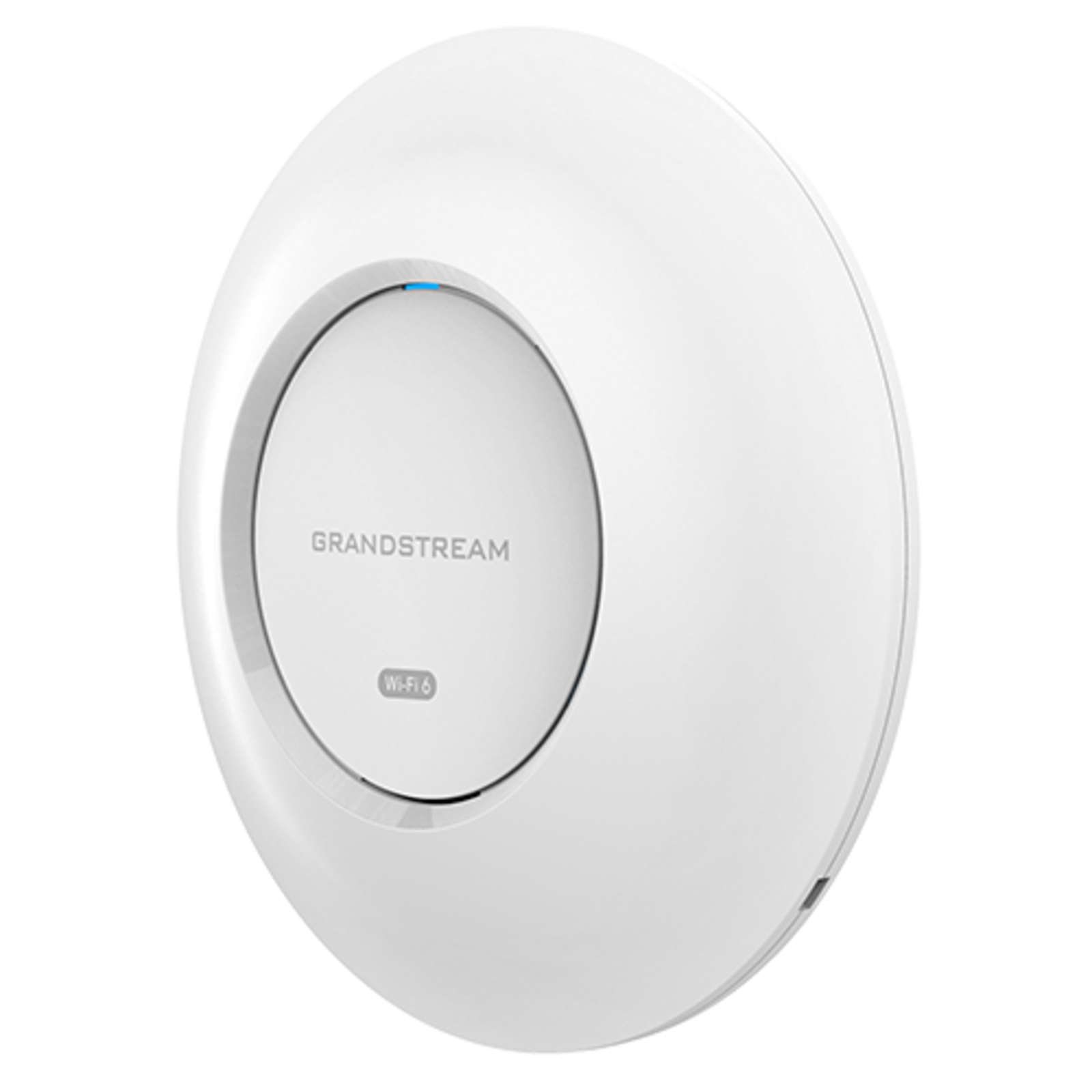 Grandstream Networks GWN7660E Enterprise Grade Access Point