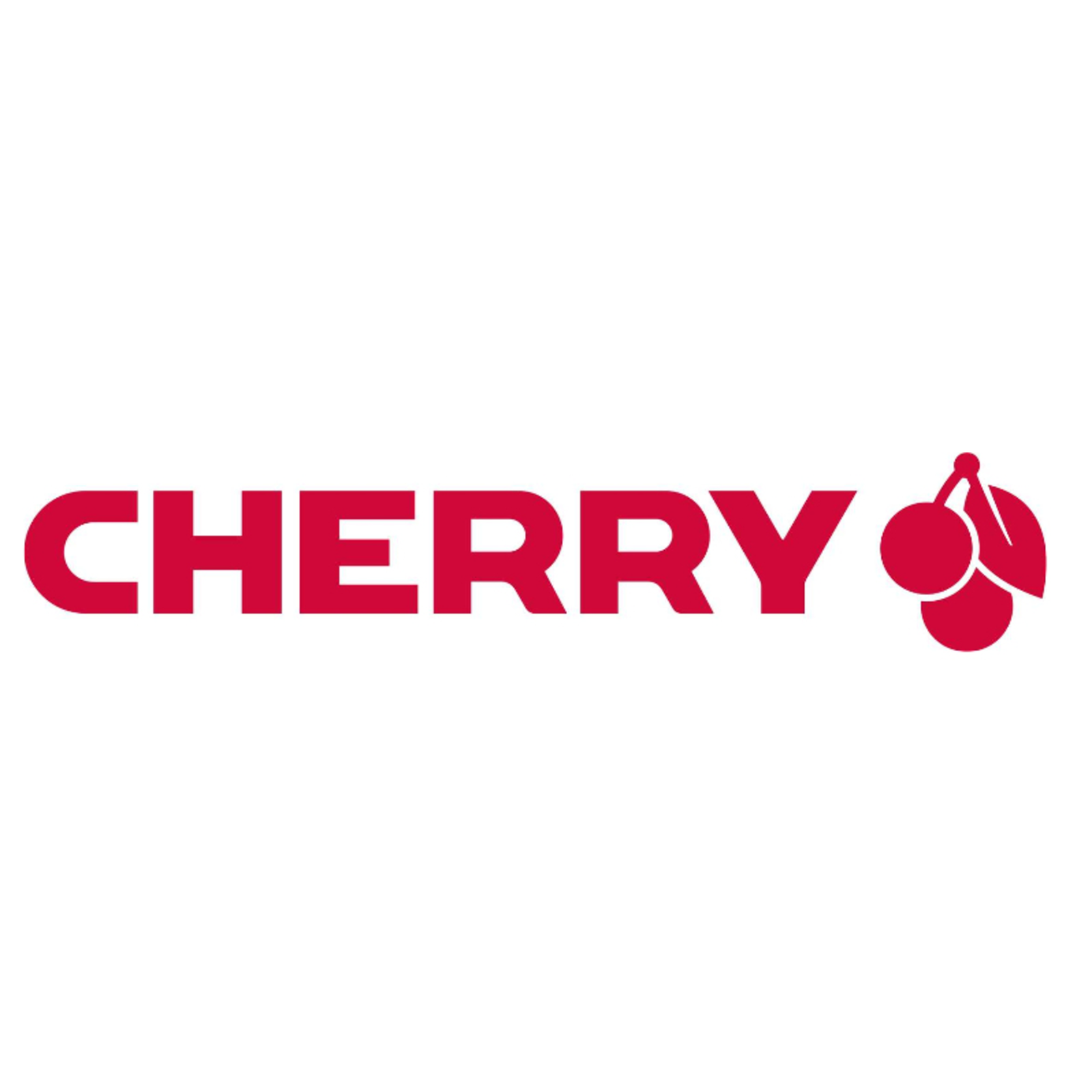 Cherry KC 6000 SLIM Keyboard USB Silver QWERTZ EN