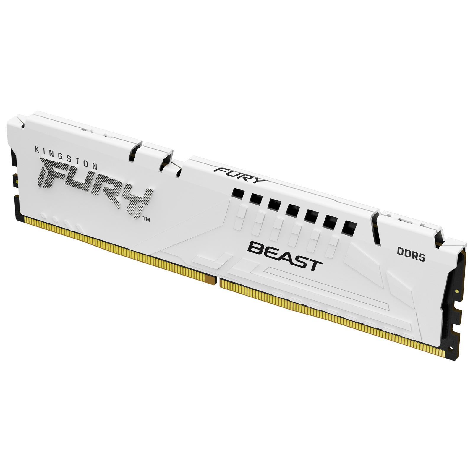 Kingston FURY Beast DDR5 Module 16 GB DIMM 288-PIN