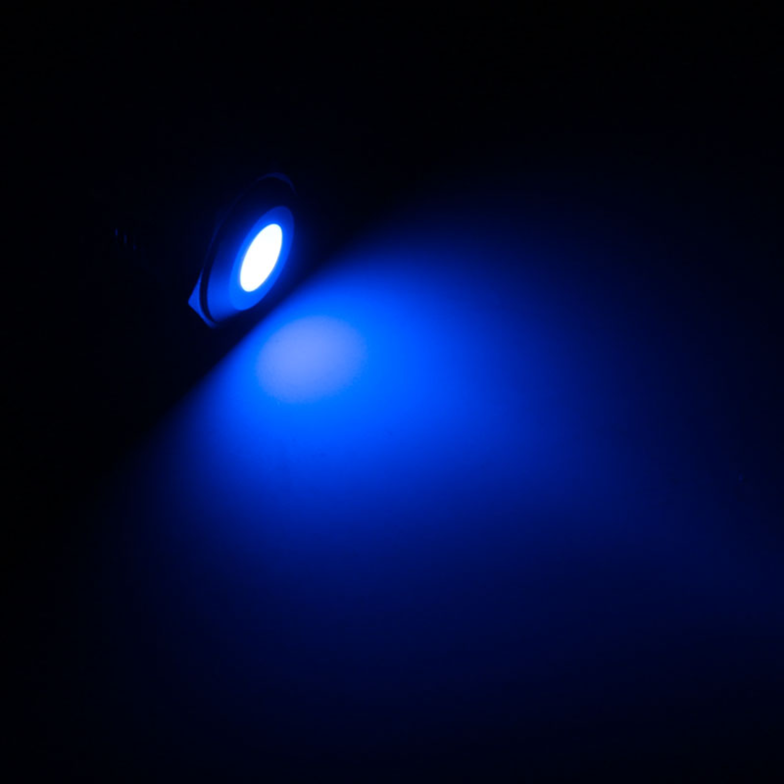 Lamptron Vandal-proof LED Blue Black Socket