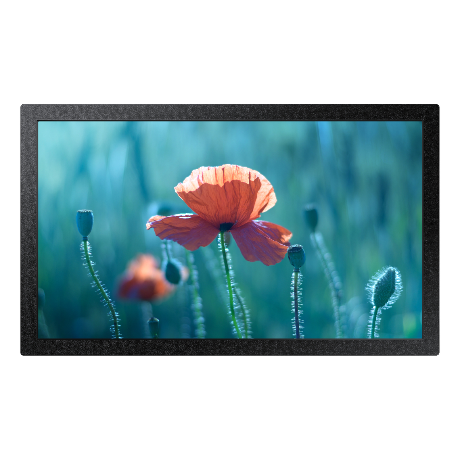 Samsung Digital Signage QB13C LH13QBCEBGBXEN Black
