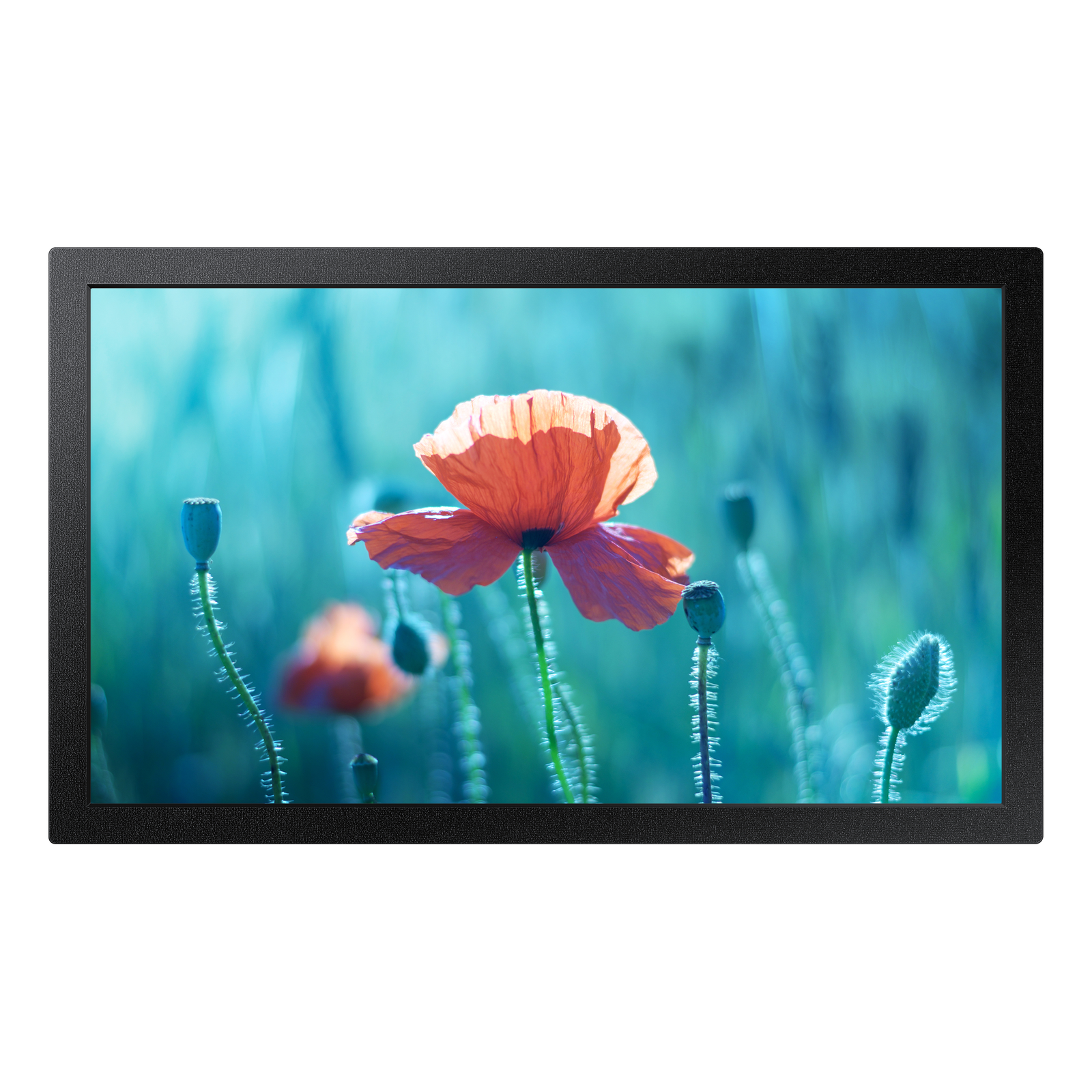 Samsung QB13R 13 Inch FHD 500 Cdm2 167